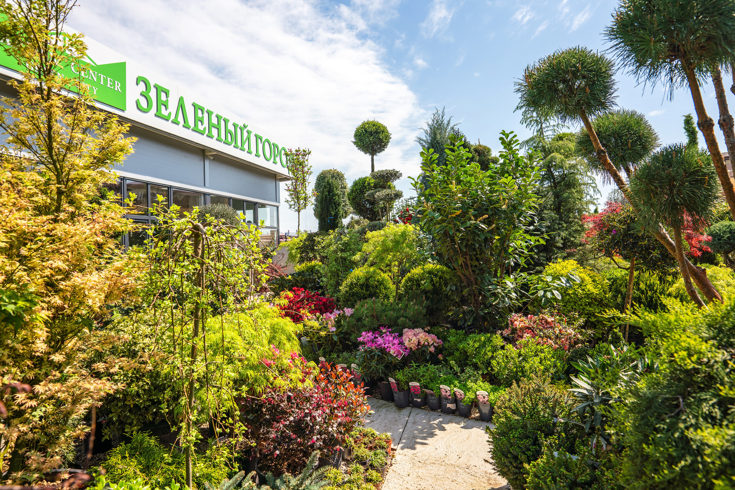 Садовый центр Зеленый город. Фотограф Сочи