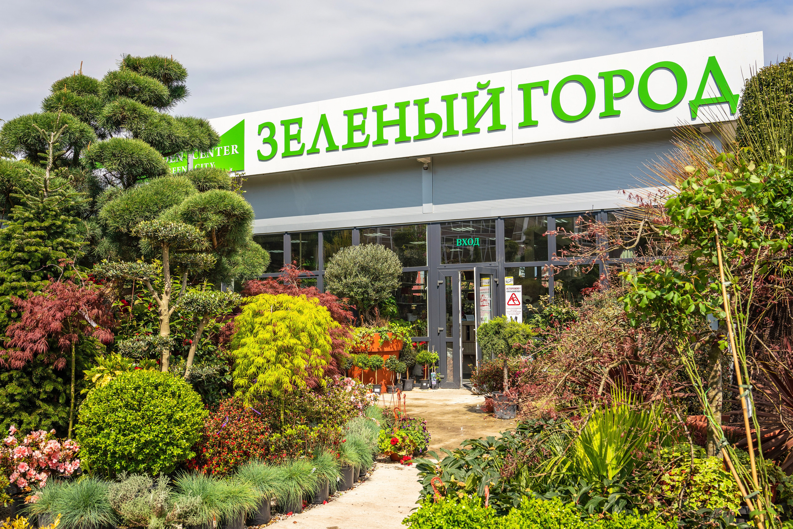 Садовый центр Зеленый город. Фотограф Сочи