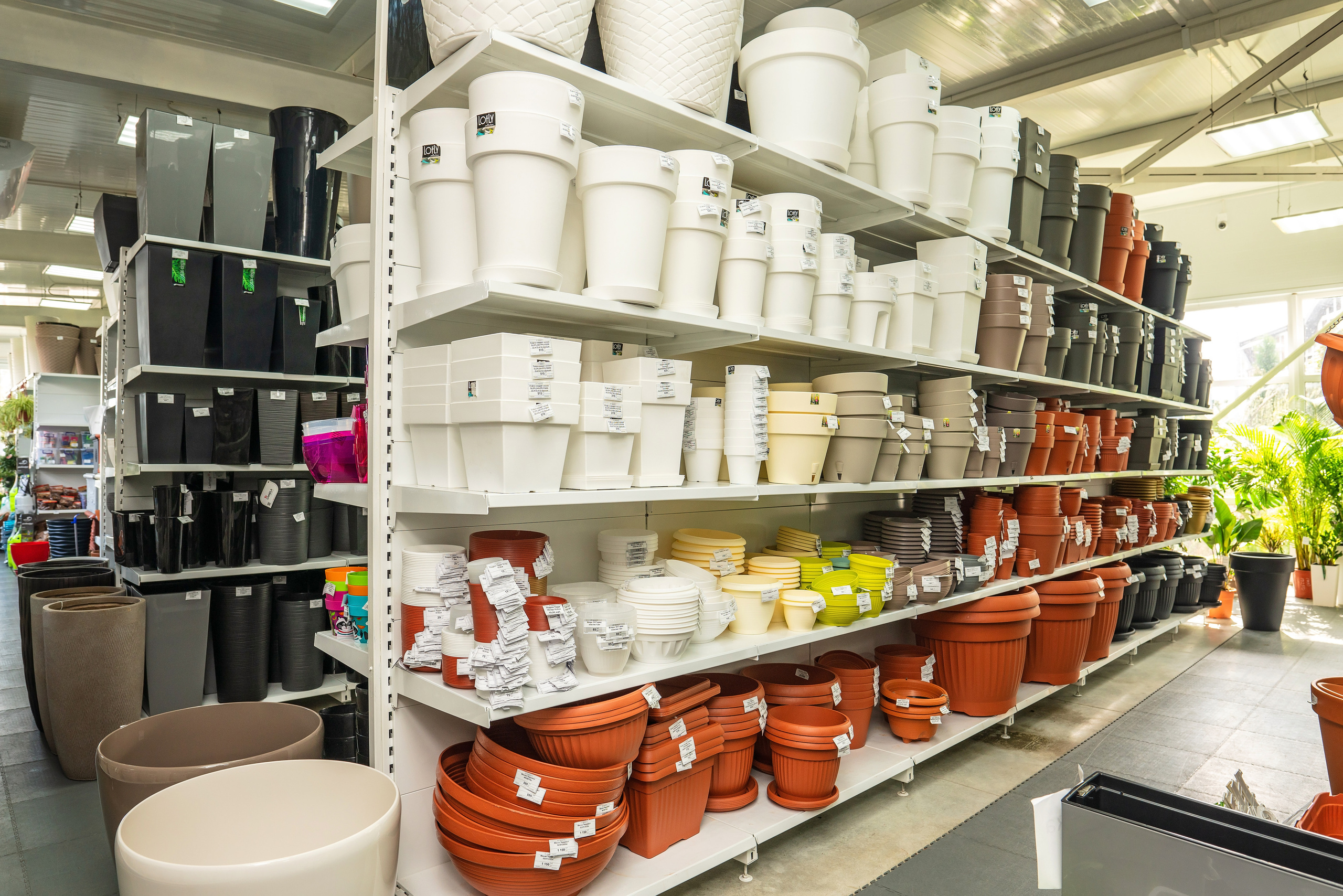 Садовый центр Зеленый город. Фотограф Сочи