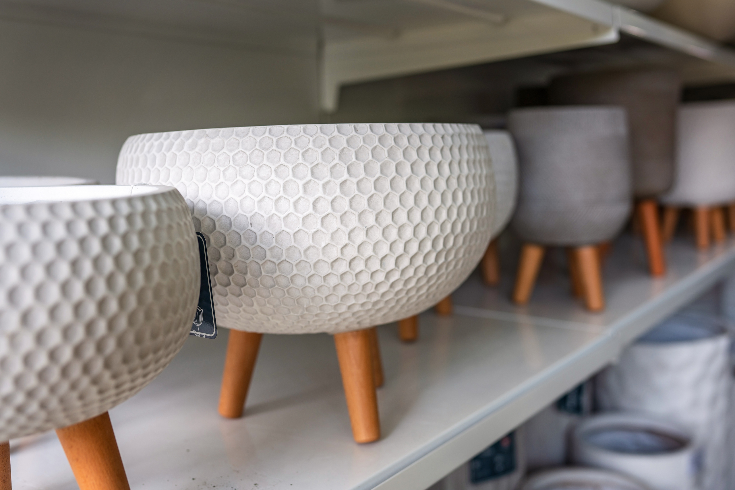 Садовый центр Зеленый город. Фотограф Сочи