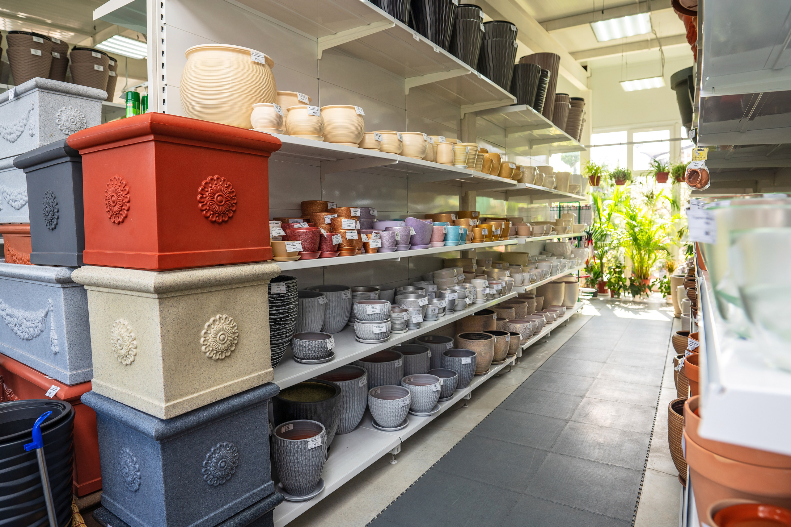 Садовый центр Зеленый город. Фотограф Сочи