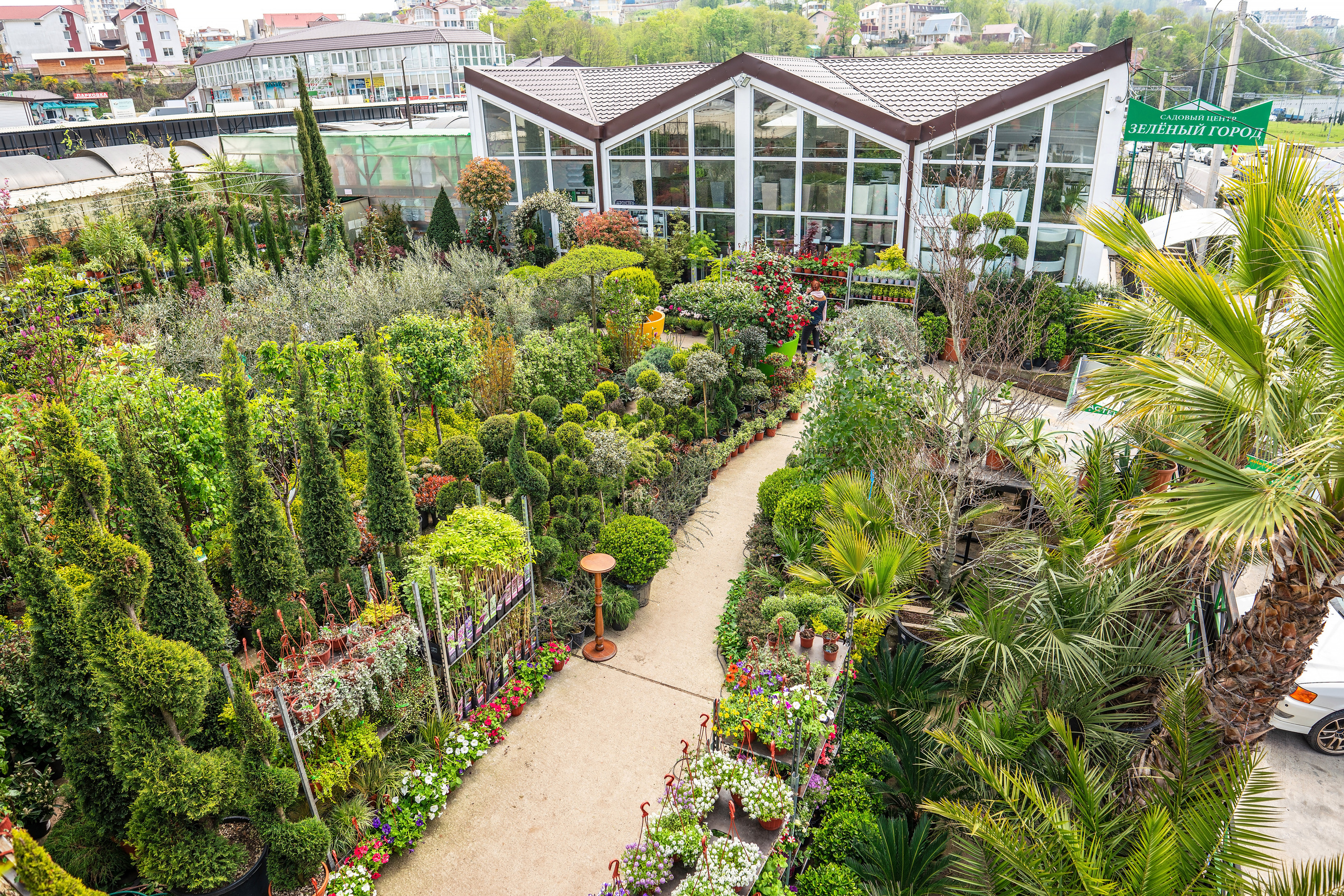 Садовый центр Зеленый город. Фотограф Сочи