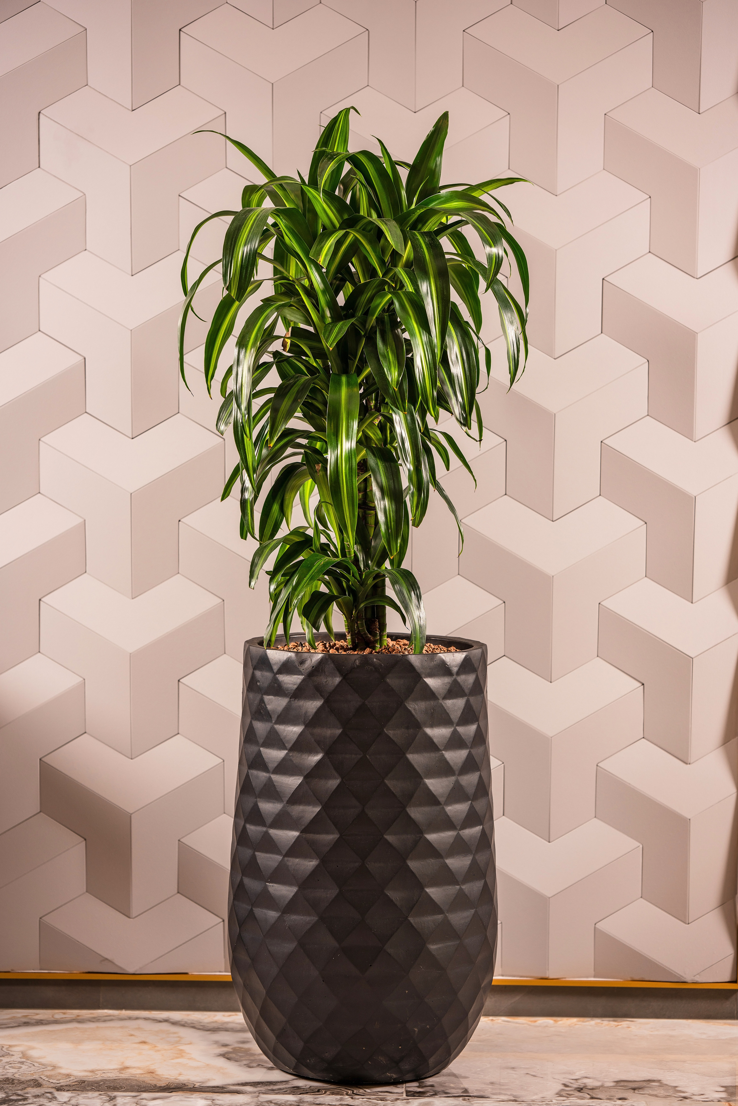 Фотосъемка гостиничного комплекса Сочи. Фотограф Сочи