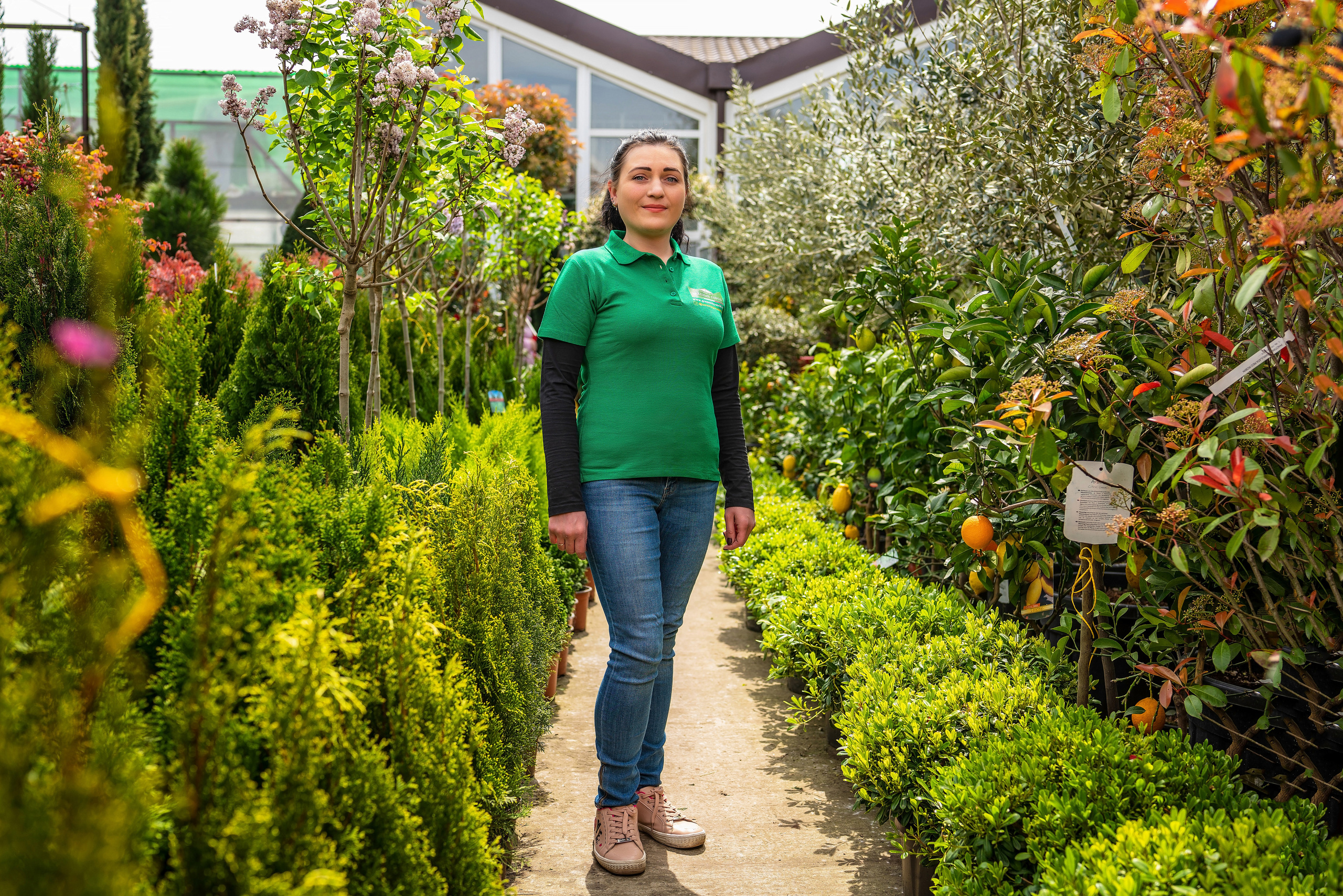 Садовый центр Зеленый город. Фотограф Сочи