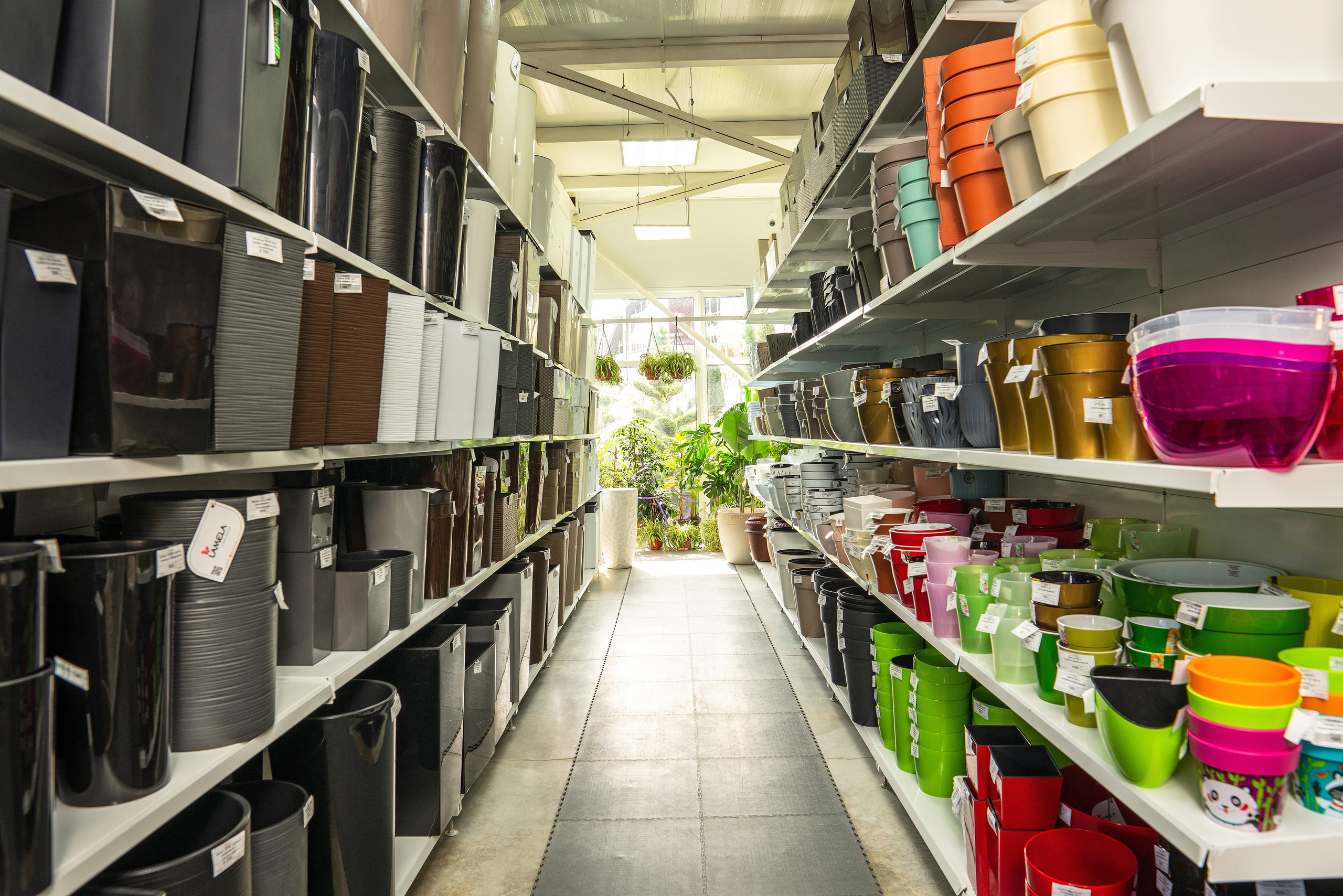 Садовый центр Зеленый город. Фотограф Сочи