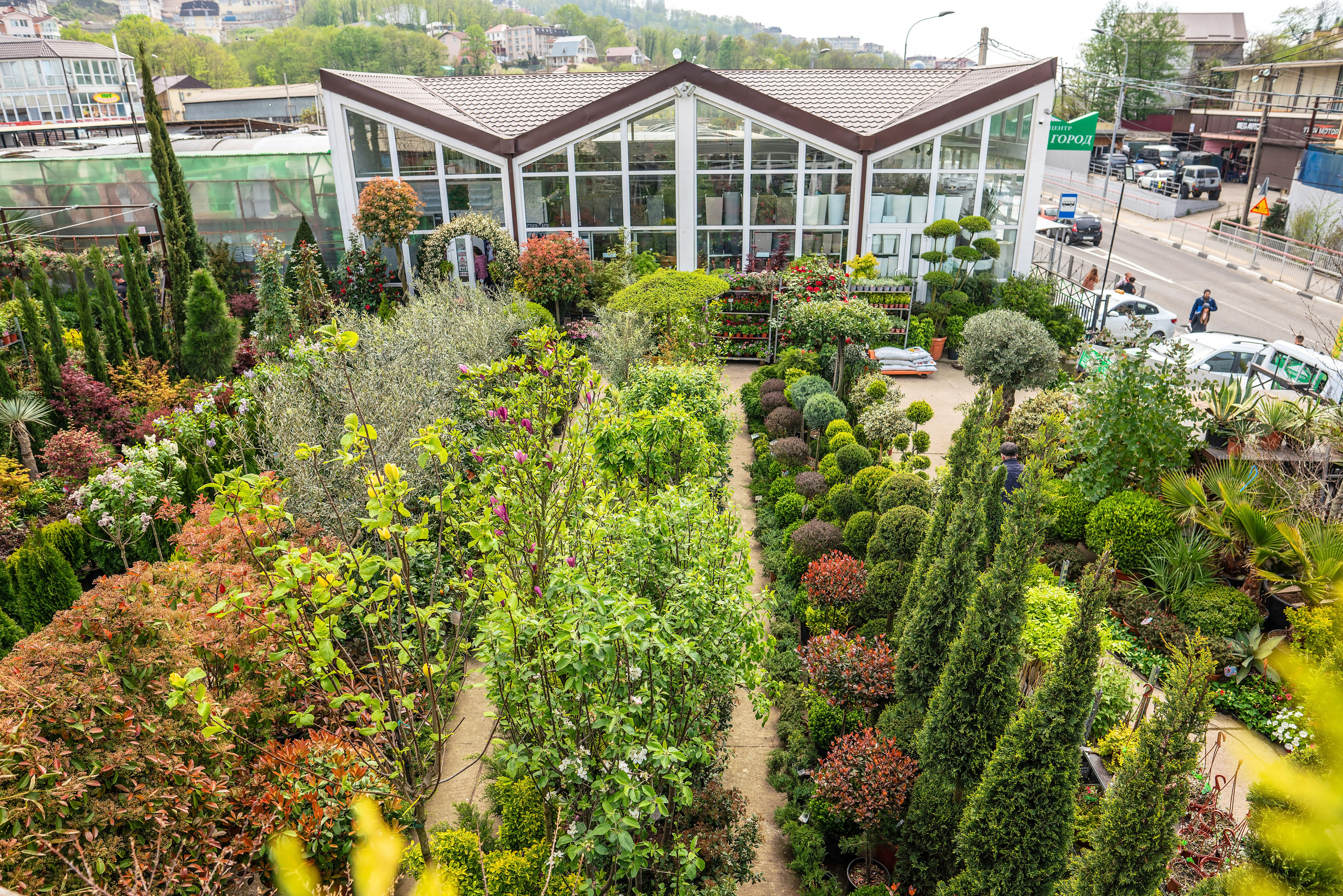 Садовый центр Зеленый город. Фотограф Сочи