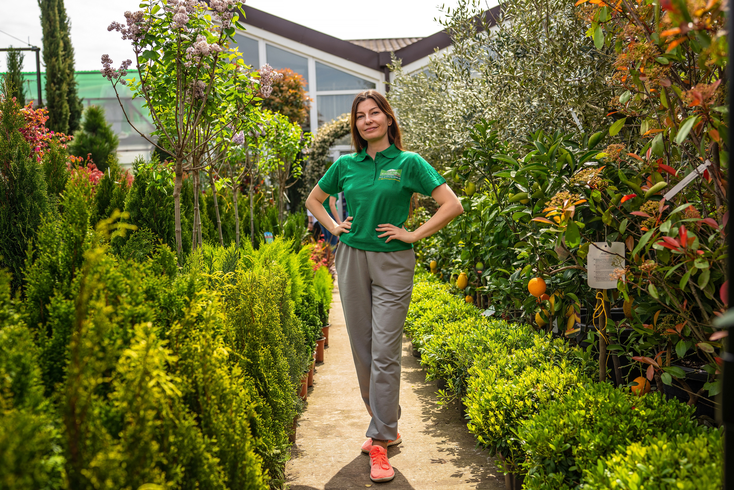 Садовый центр Зеленый город. Фотограф Сочи