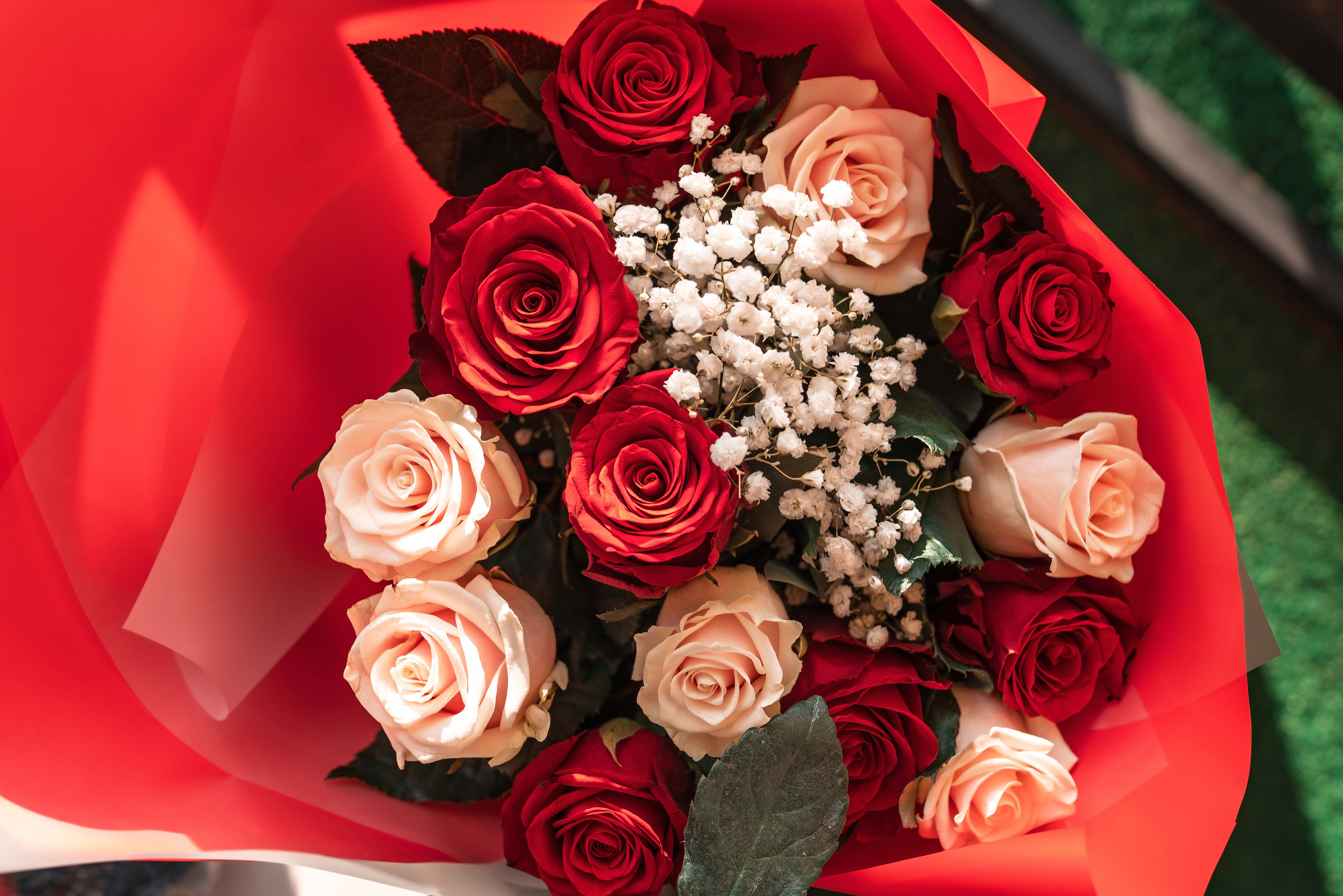 Фотограф в Адлере на день рождение. Фотограф Сочи