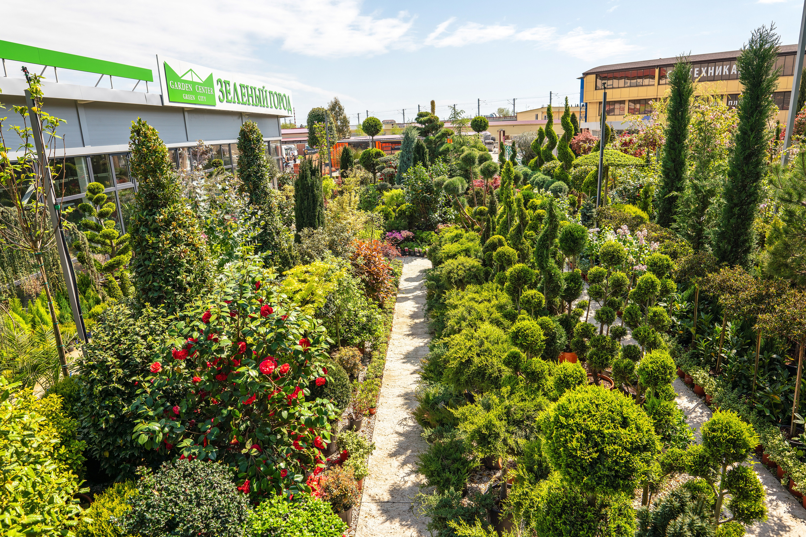Садовый центр Зеленый город. Фотограф Сочи