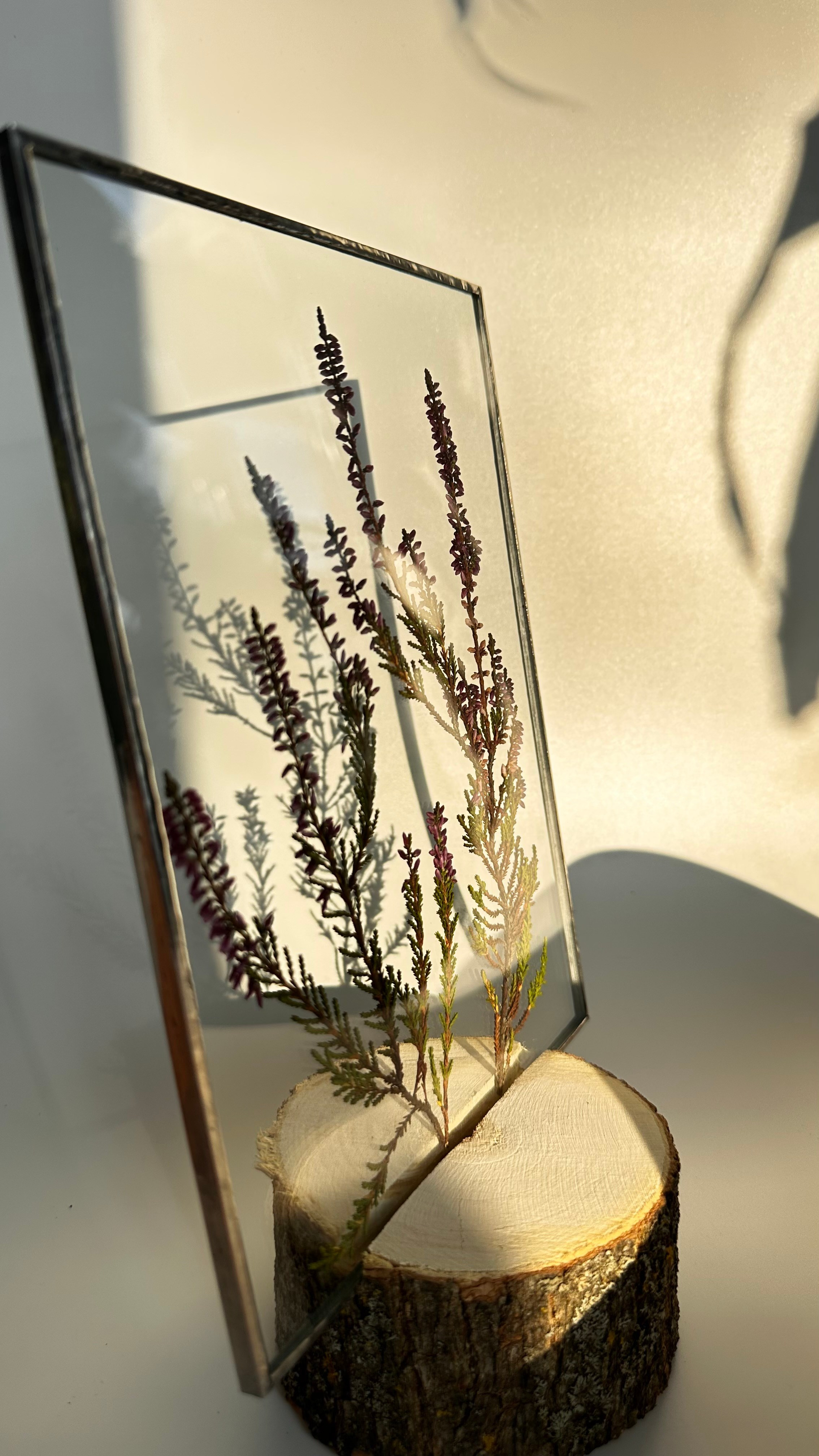 Гербарий в стекле с сухоцветами (витраж в технике тиффани). Гербарий в стекле, интерьерные панно, витражи с сухоцветами в технике тиффани