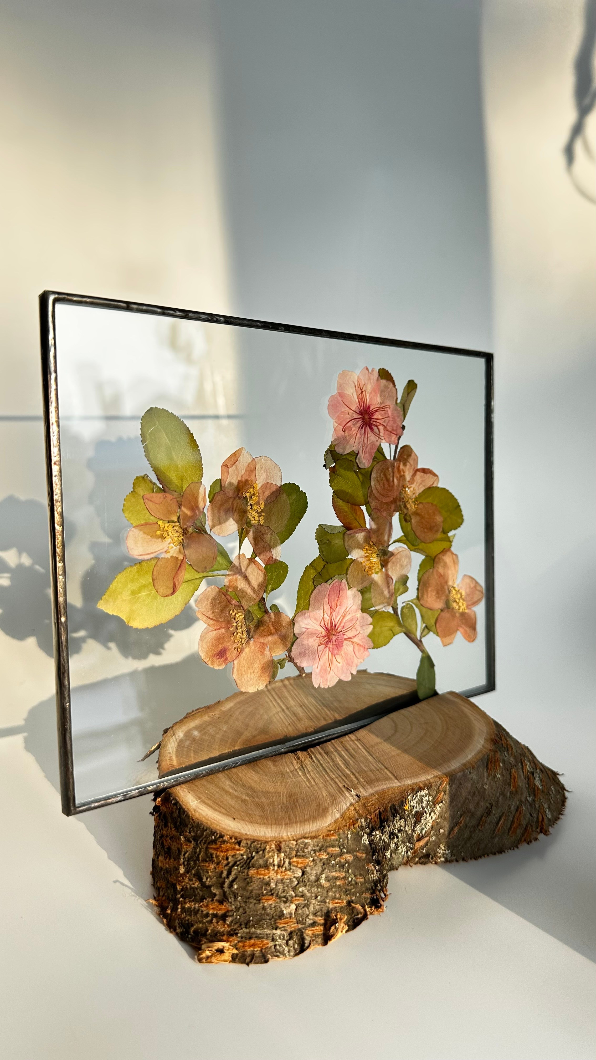 Витражи в технике тиффани с засушенными растениями (гербарии в стекле) в наличии и на заказ. Гербарий в стекле, интерьерные панно, витражи с сухоцветами в технике тиффани