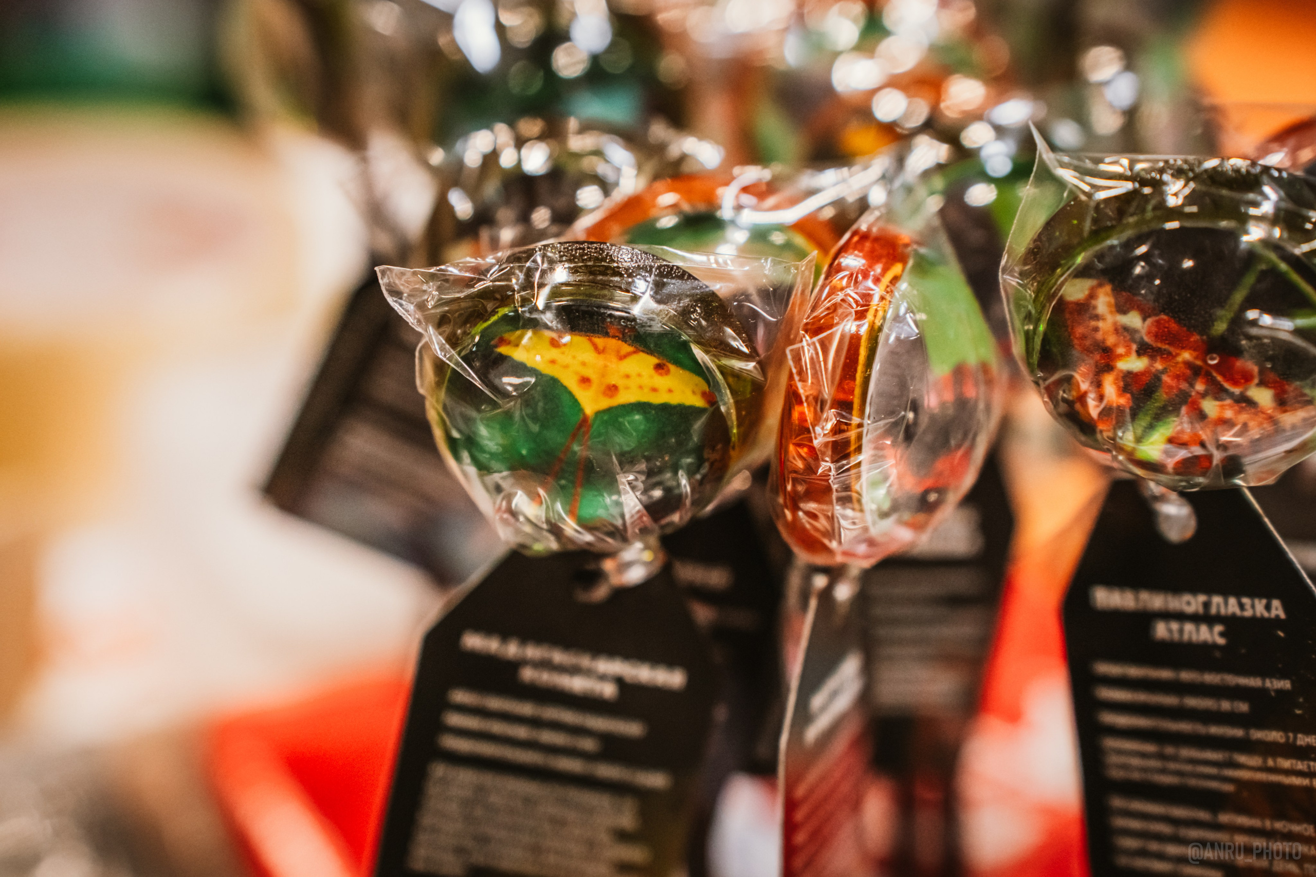 Рептилиум (ручная работа). Репортажный фотограф Анастасия Рубцова