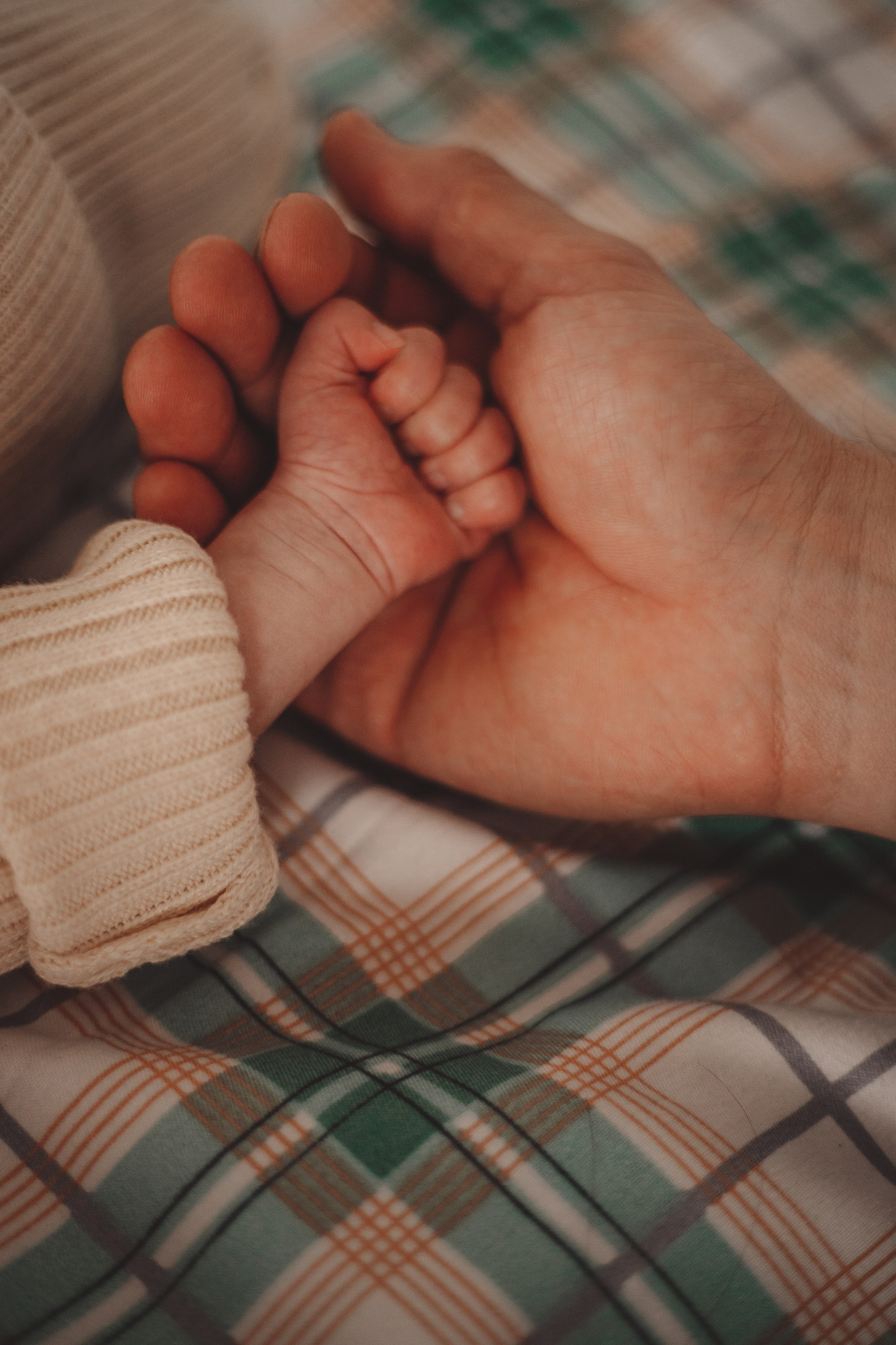 Семейная фотосессия - Долгожданный новогодний подарок. Семейный и женский фотограф Кемерово Мария Степ