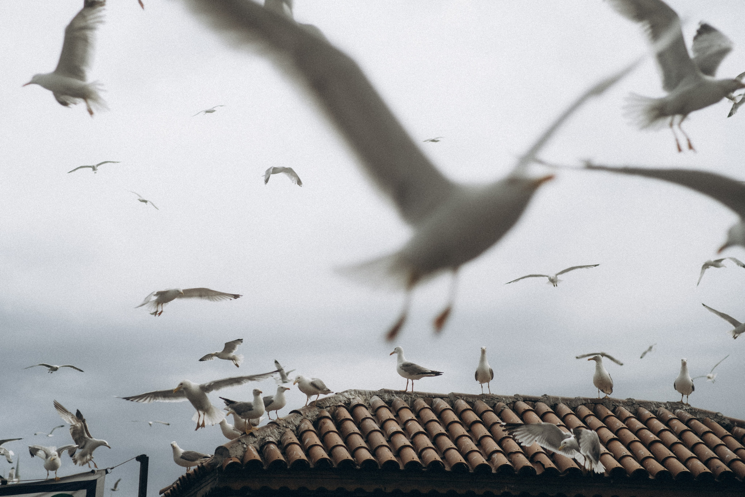 Стрит. Фотограф Валентина Кондрасюк в Санкт-Петербурге