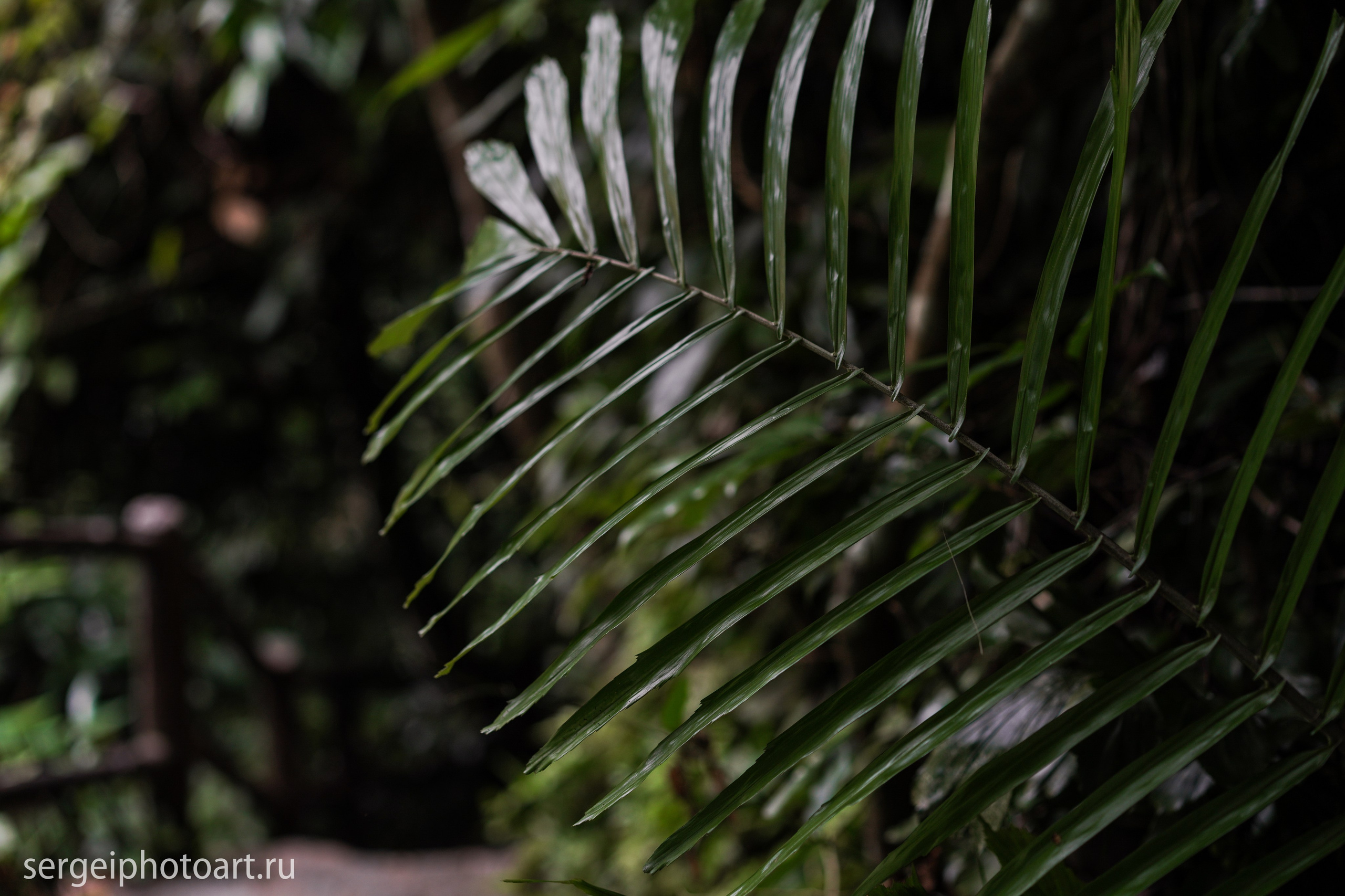 Небесные врата Донг Зянг Дананг. Фотограф Сергей Кишкель Дананг Нячанг Фукуок