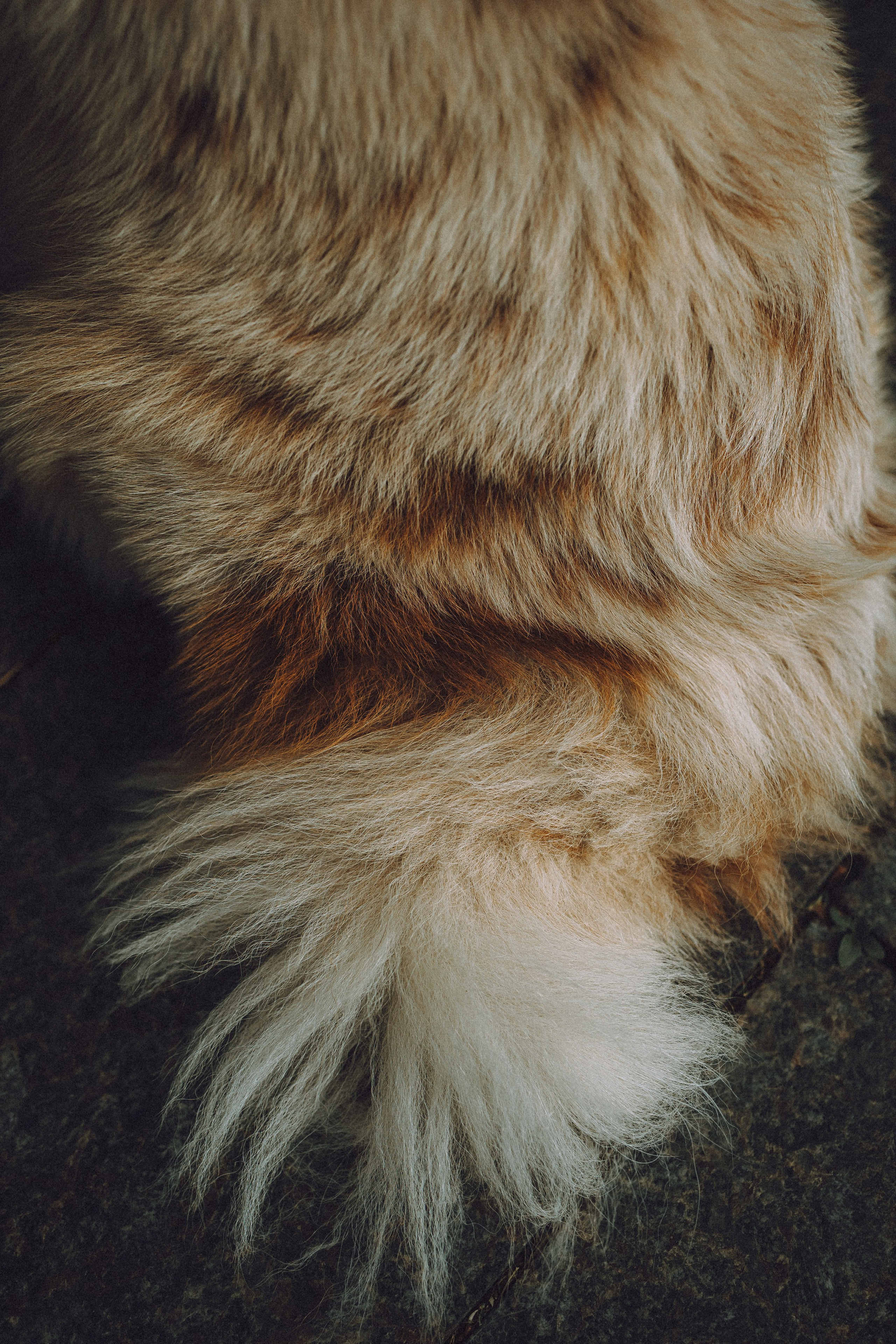 Один и его семья