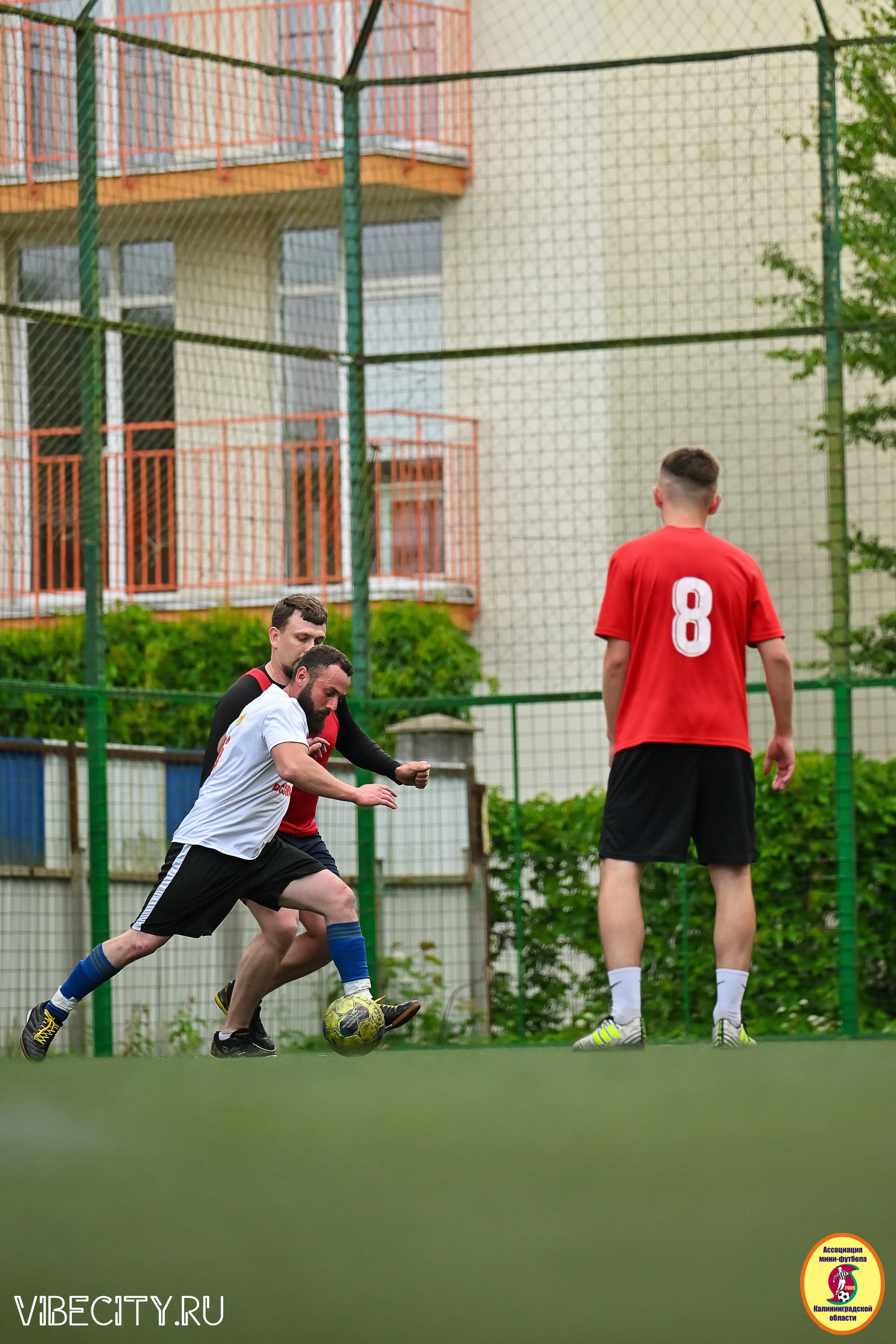 ИГРЫ МИНИ-ФУТБОЛЬНОЙ И КОРПОРАТИВНОЙ ЛИГИ. VIBECITY.RU Вайб Сити Ру Фоторепортажи Фотоотчеты Калининград