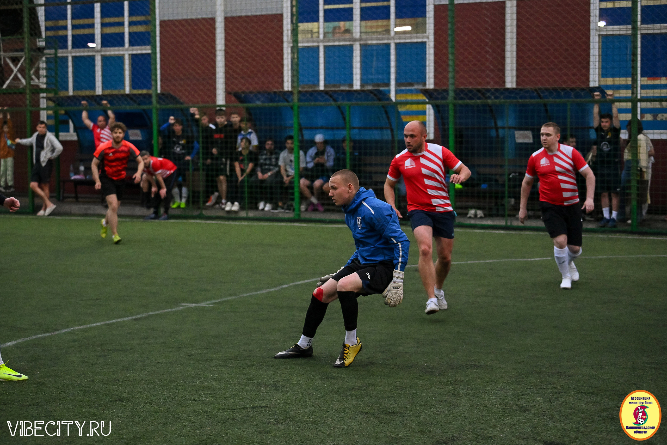 ИГРЫ МИНИ-ФУТБОЛЬНОЙ И КОРПОРАТИВНОЙ ЛИГИ. VIBECITY.RU Вайб Сити Ру Фоторепортажи Фотоотчеты Калининград