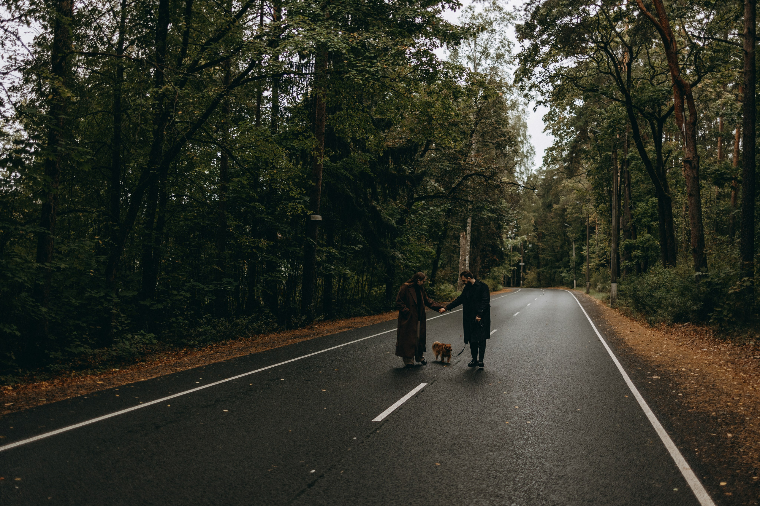 Жу и ее семья. Фотограф — Анималист | Санкт-Петербург