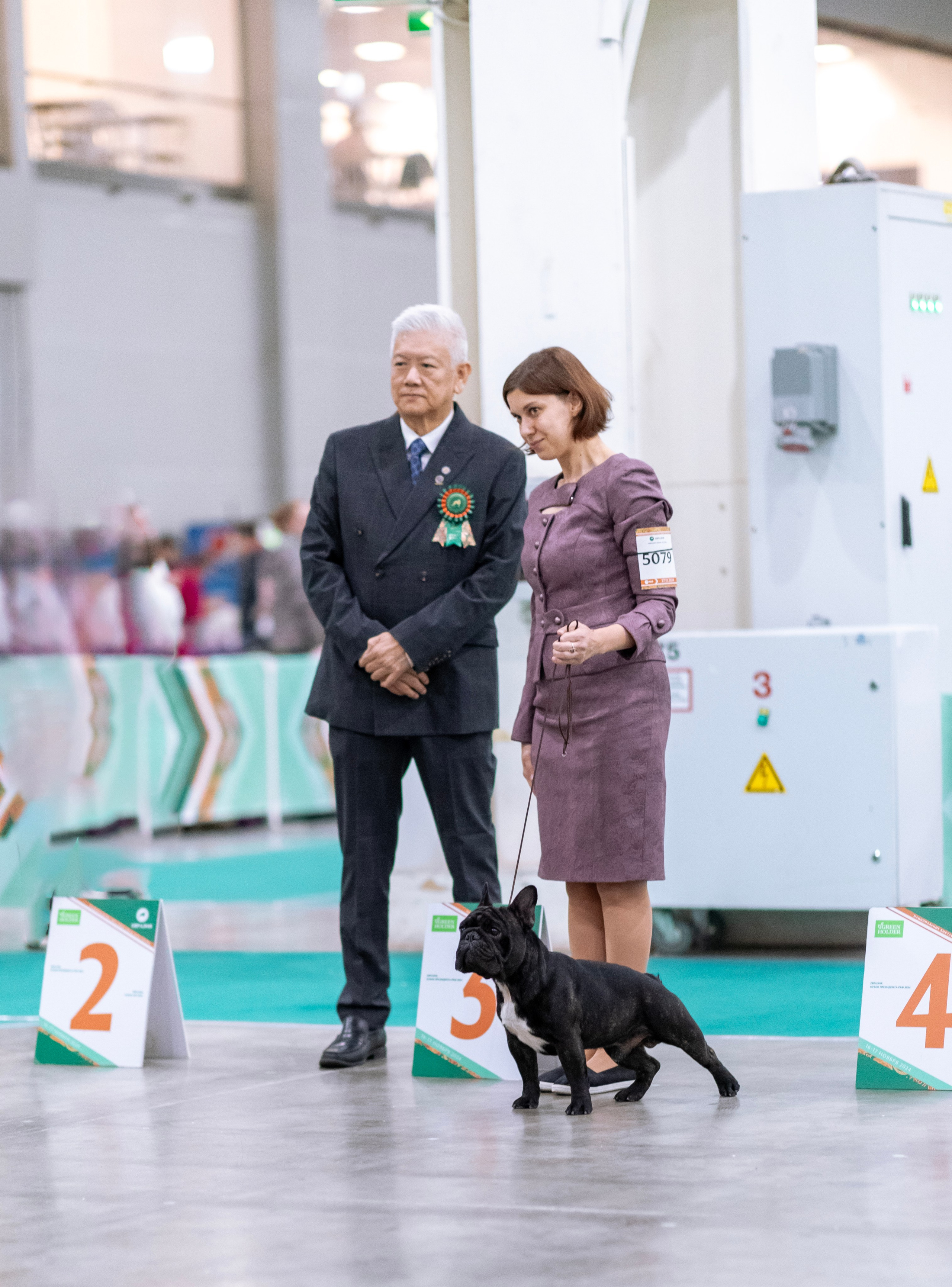 Евразия. Фотограф — анималист Татьяна Ли