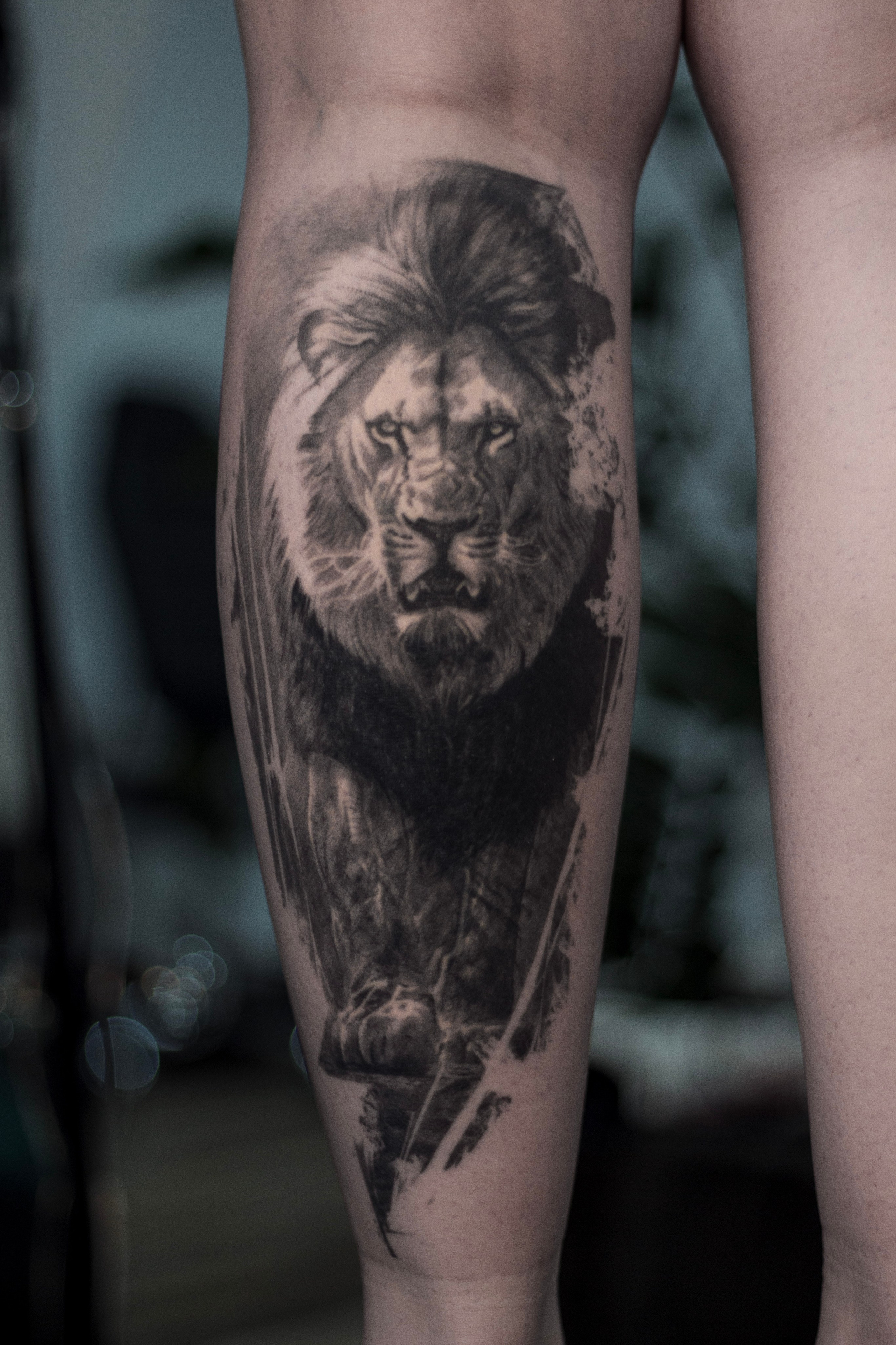 Мои татуировки. Shoroh tattoo stoodio Novosibirsk, Шорох тату студия Новосибирск