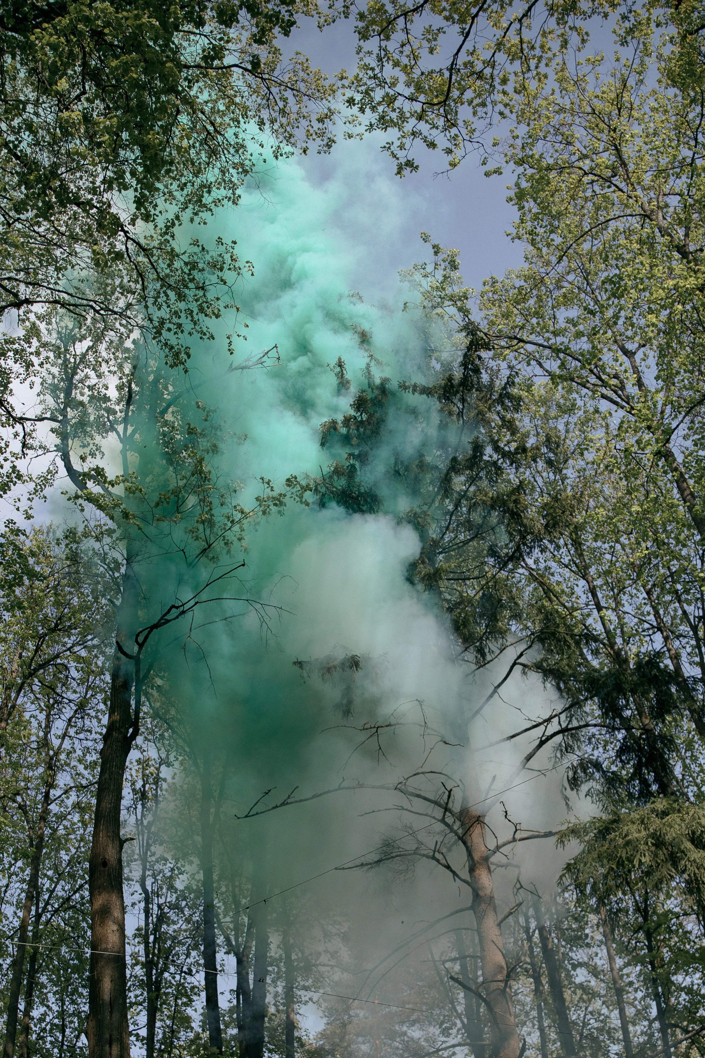 ЛЕС Event House выездная регистрация и свадебный банкет на площадке ЛЕС. Свадебный фотограф Москва