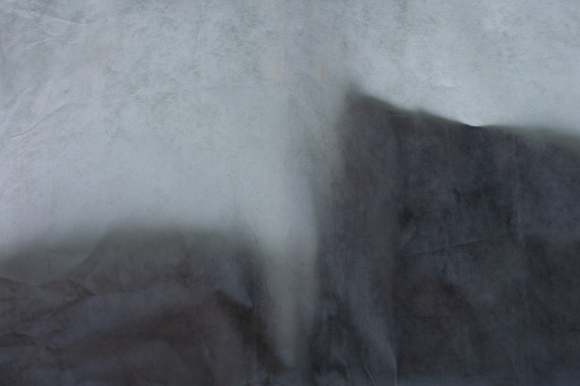 Escaping landscapes. Vita Stroganova