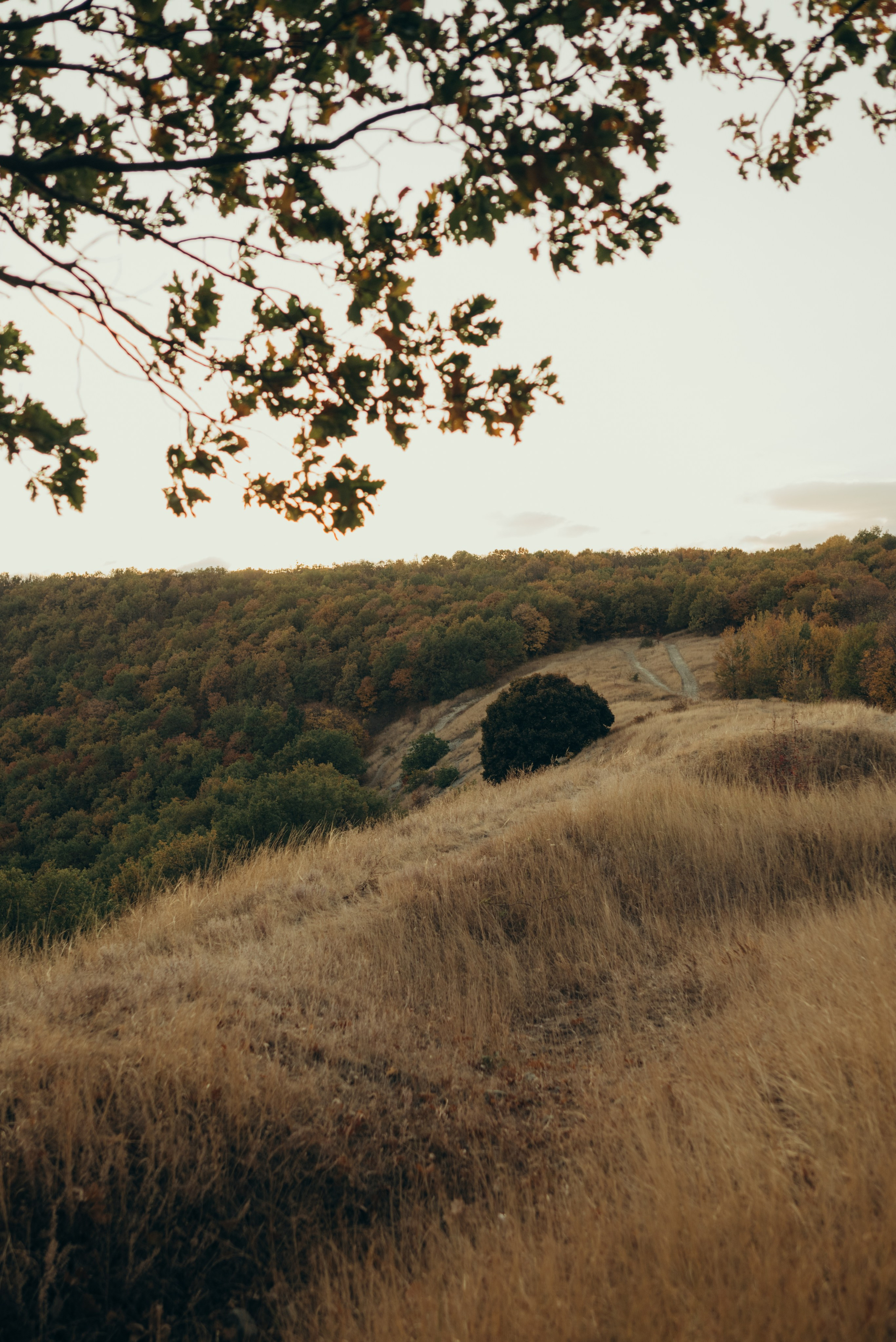 Игорь, Лера и Алиса. Сайт фотографа Светланы Еремченко