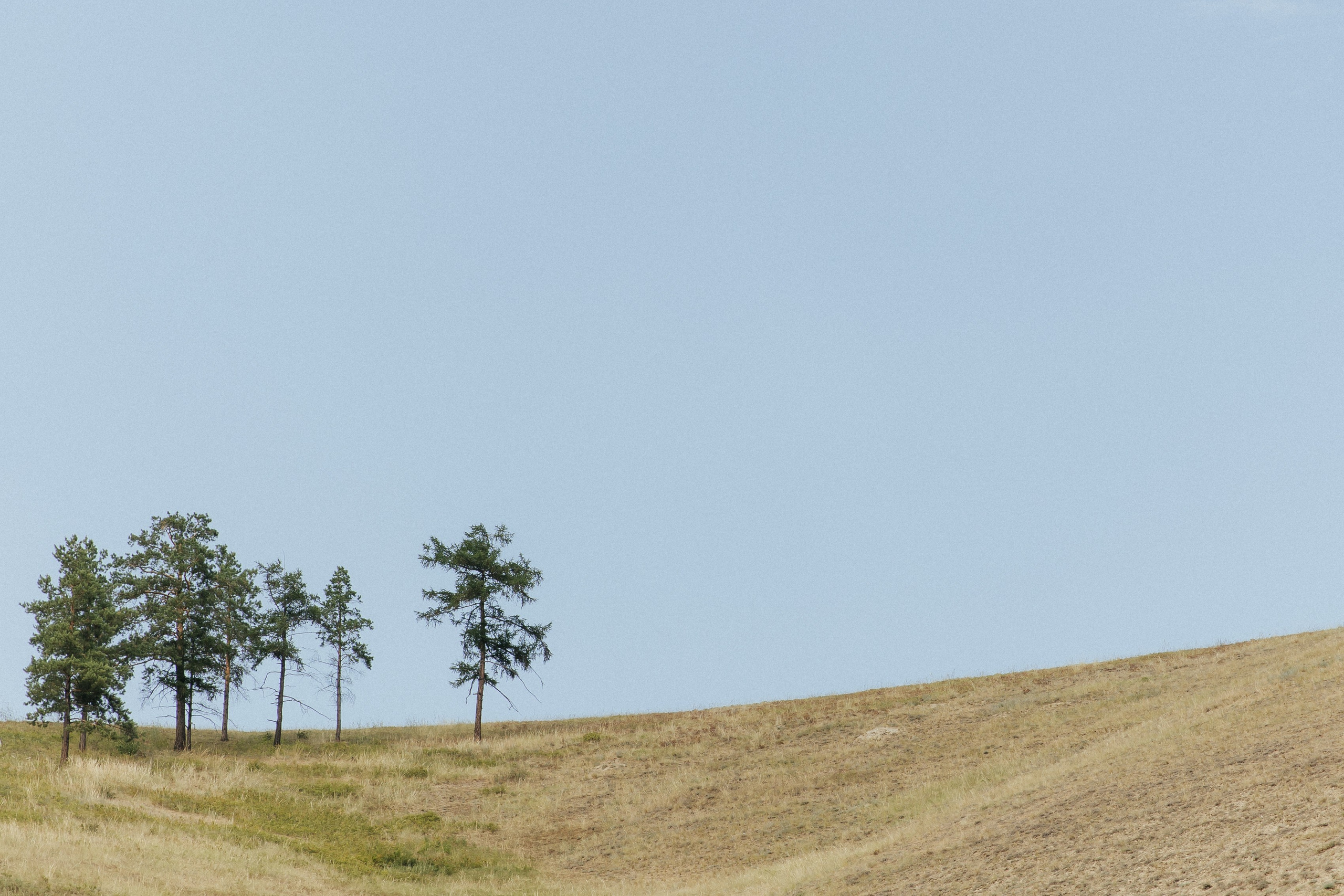 «Окрыленные любовью». Свадебный и семейный фотограф в Якутске — Дьулусхан Прокопьев