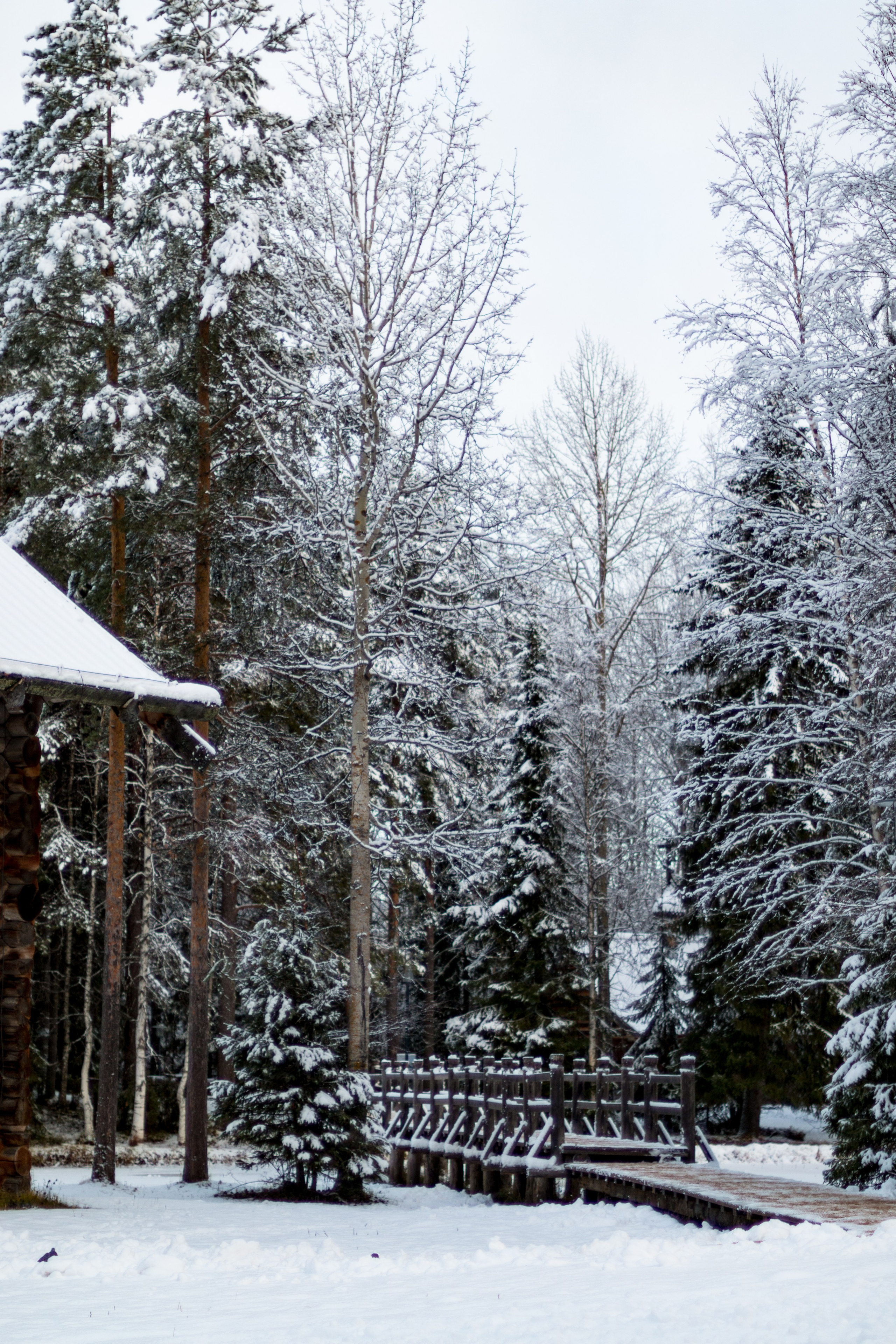 Русский Север, Малые карелы. Фотограф в Сочи