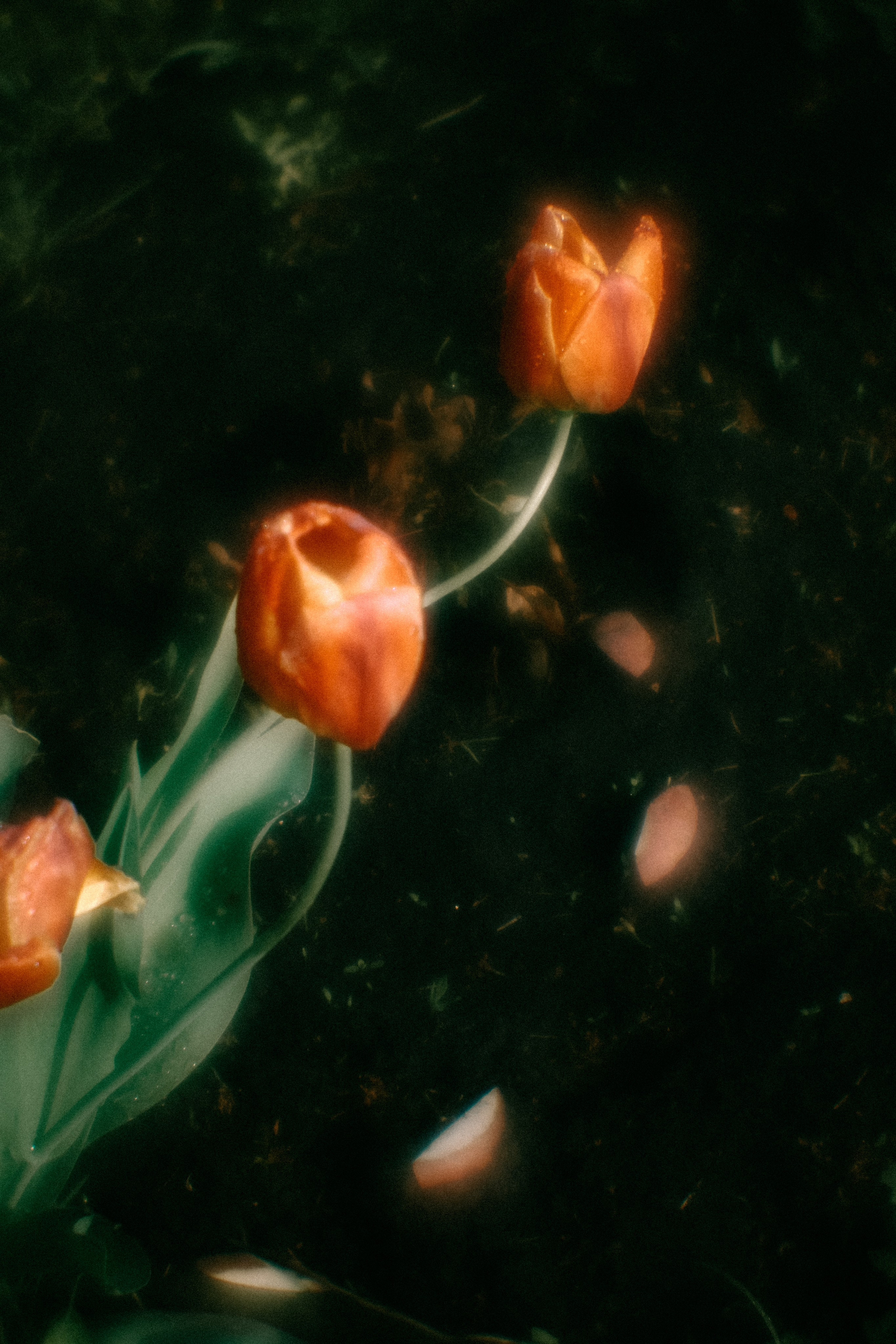 Пикториальный альбом. Семейный LIFESTYLE фотограф в Москве