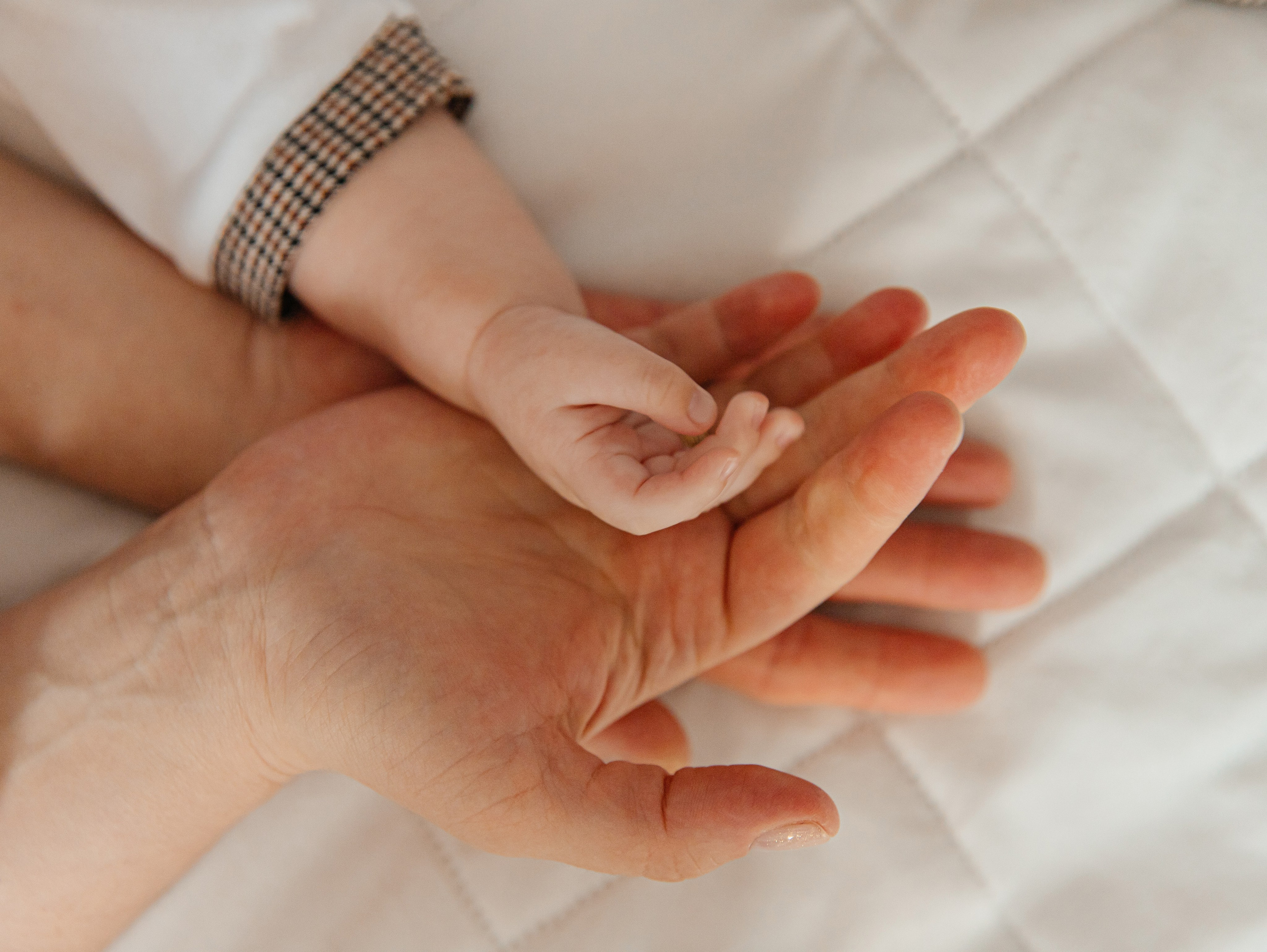 Домашняя съемка, малыш 3 месяца. Фотограф текстиля в Москве Ольга Иванова