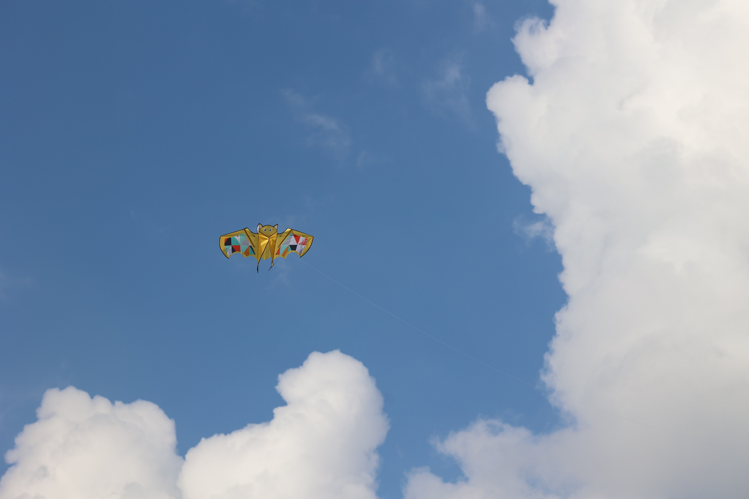 Любимое. Фотограф в Санкт-Петербурге Анна Сосновская