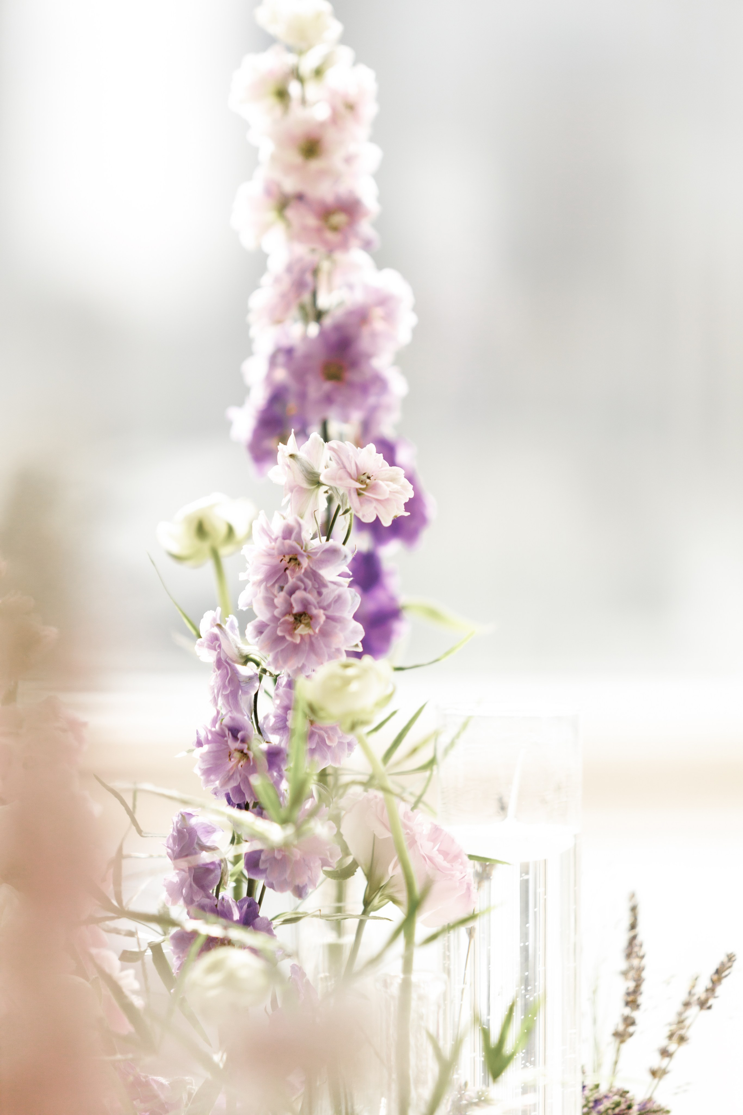 Дарья и Хариз. Фотограф Москва. Репортажная съемка, портрет, бизнес-портрет