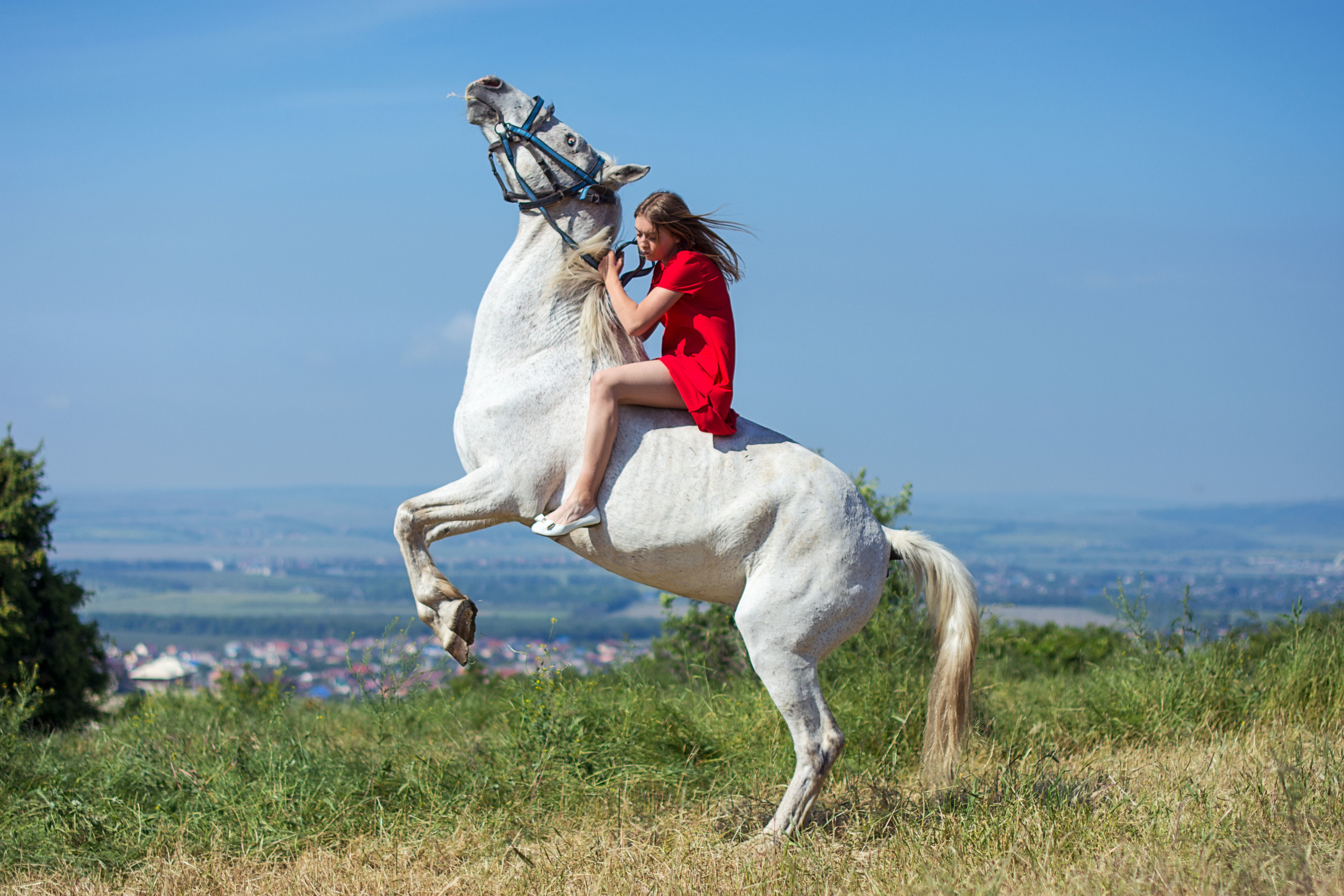 Фотосессии с лошадьми. Фотограф в Анапе Елена Нор