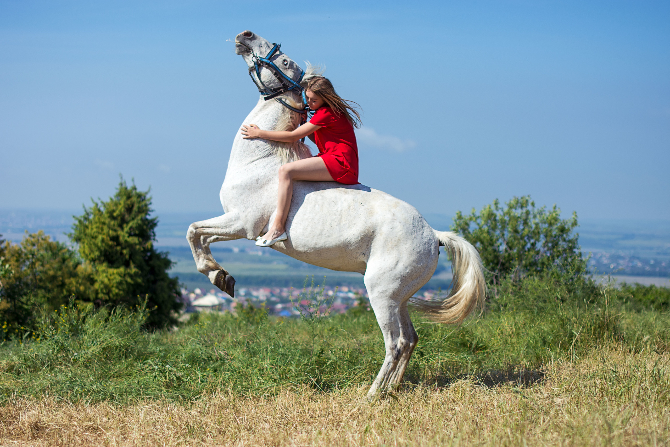 Фотосессии с лошадьми. Фотограф в Анапе Елена Нор
