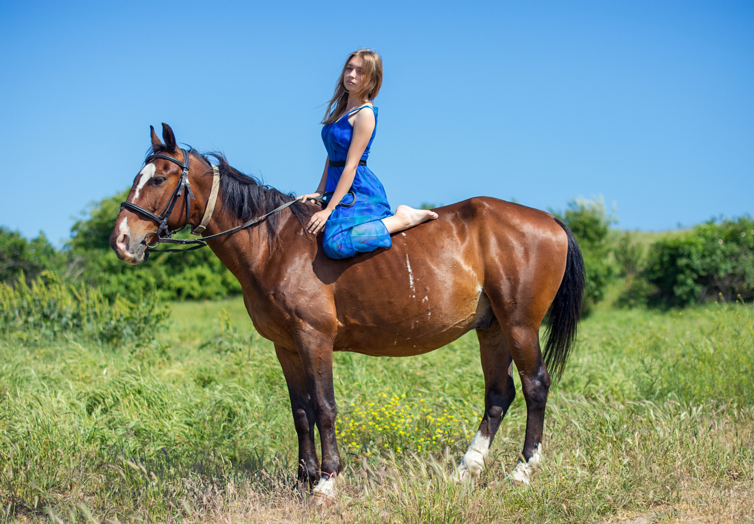 Фотосессии с лошадьми. Фотограф в Анапе Елена Нор