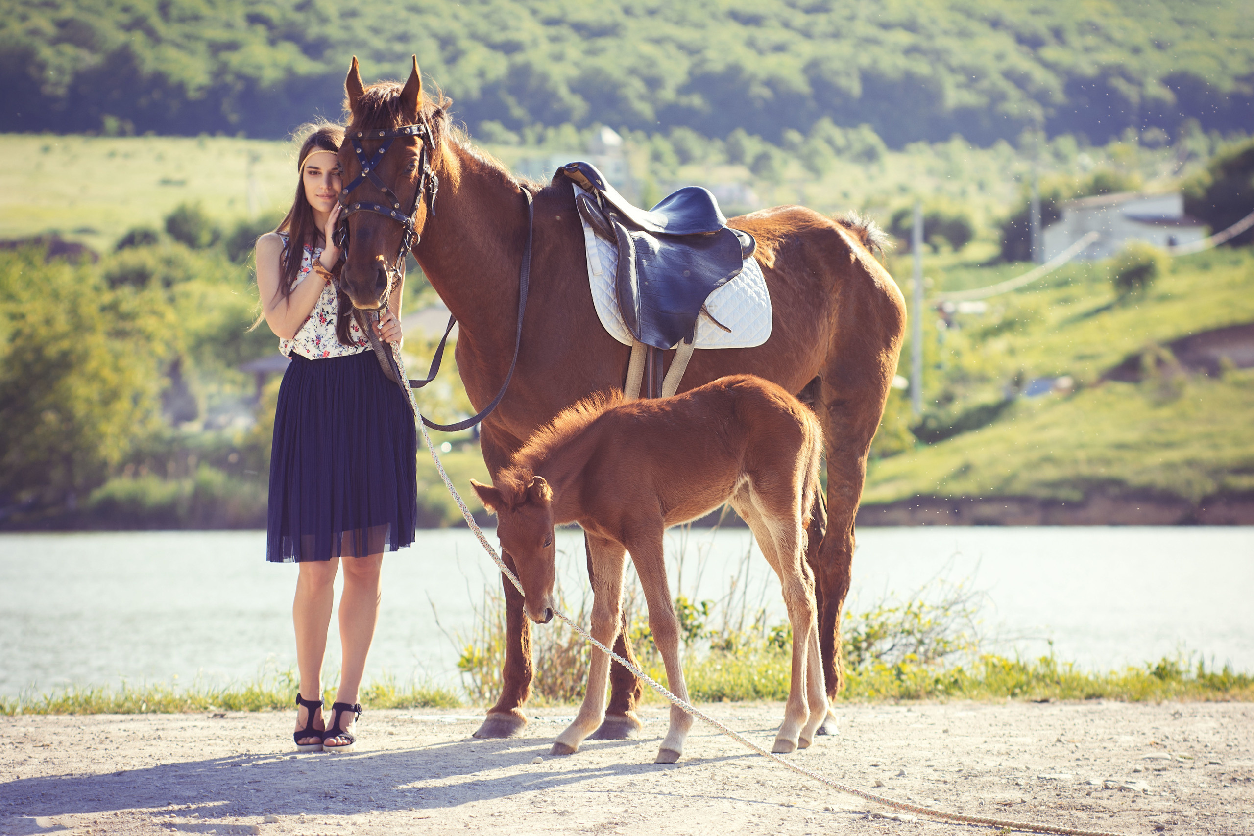 Фотосессии с лошадьми. Фотограф в Анапе Елена Нор