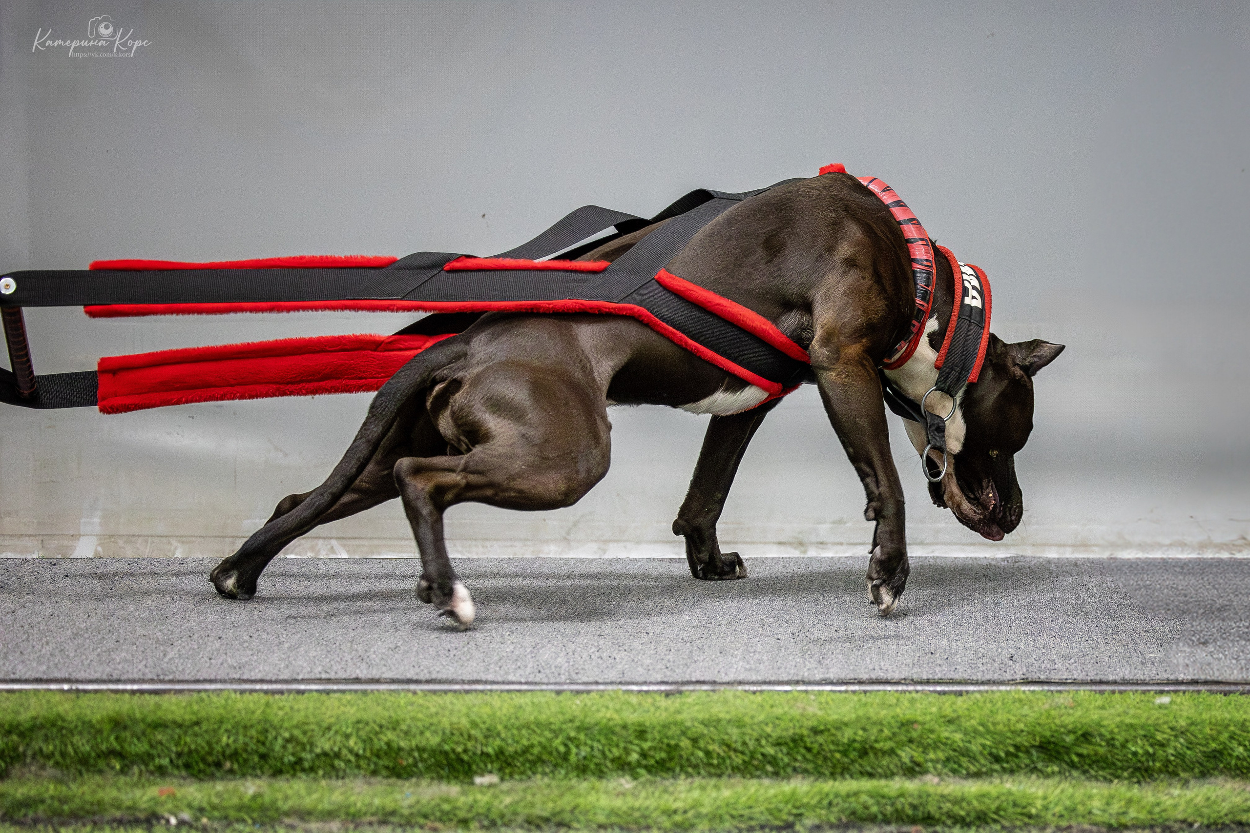 Спорт. Главная