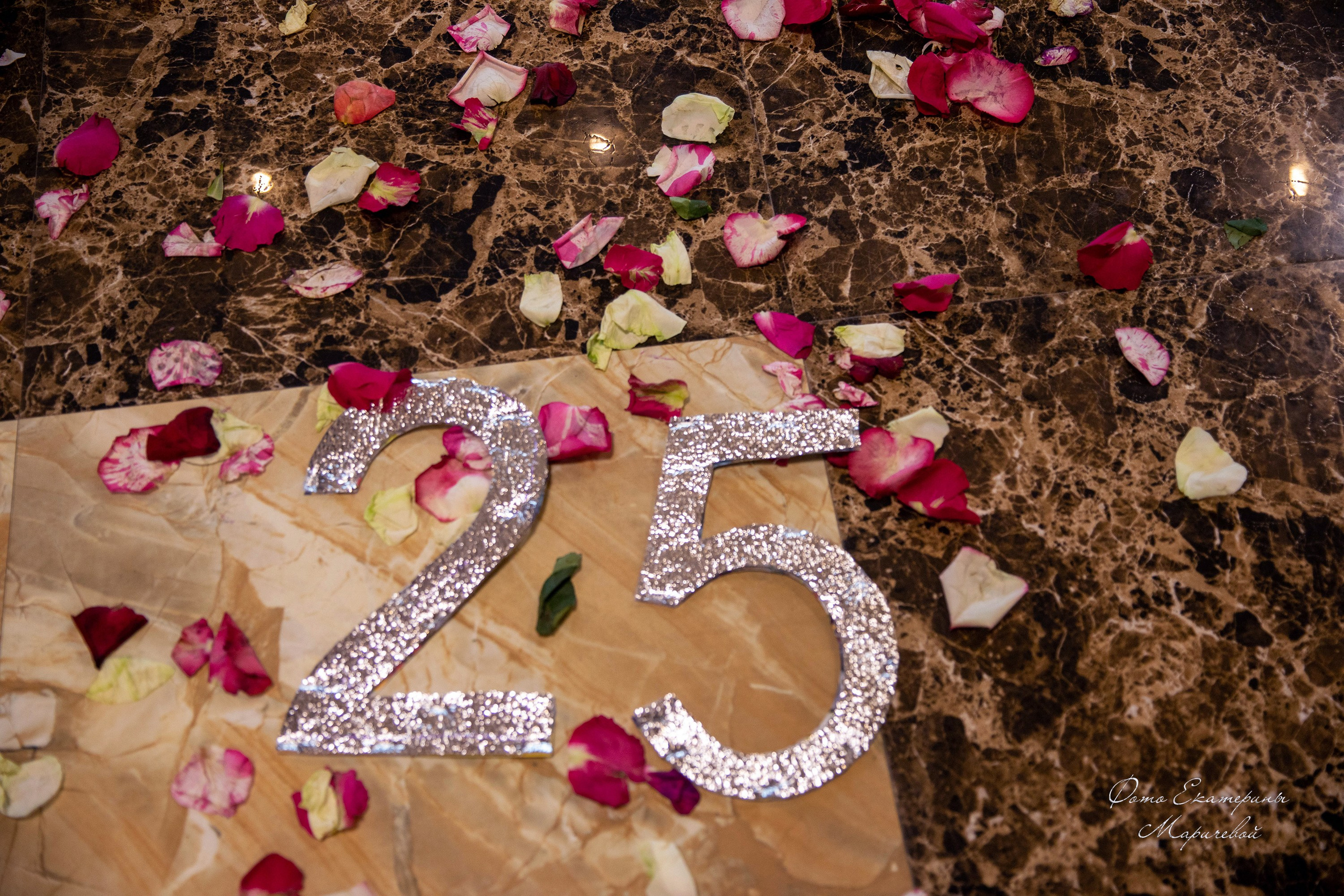 Репотражная съёмка. Фотограф-анималист в Омске Екатерина Маричева