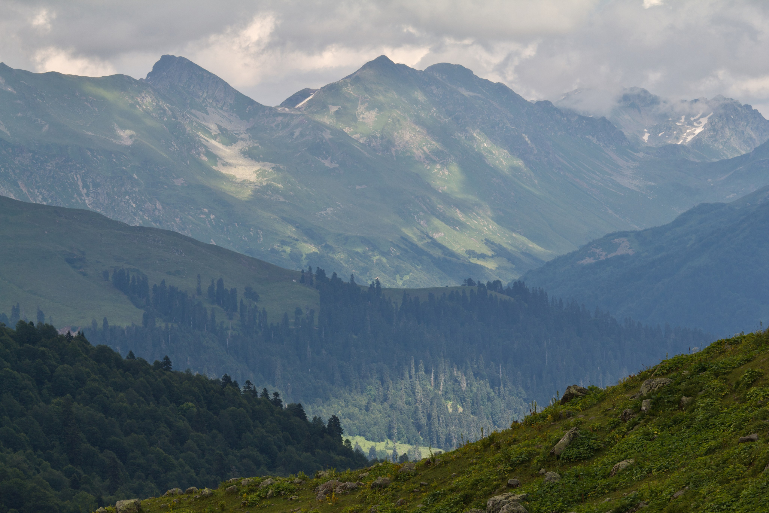 Абхазия. Школьные выпускные альбомы в Москве Марина Николаева