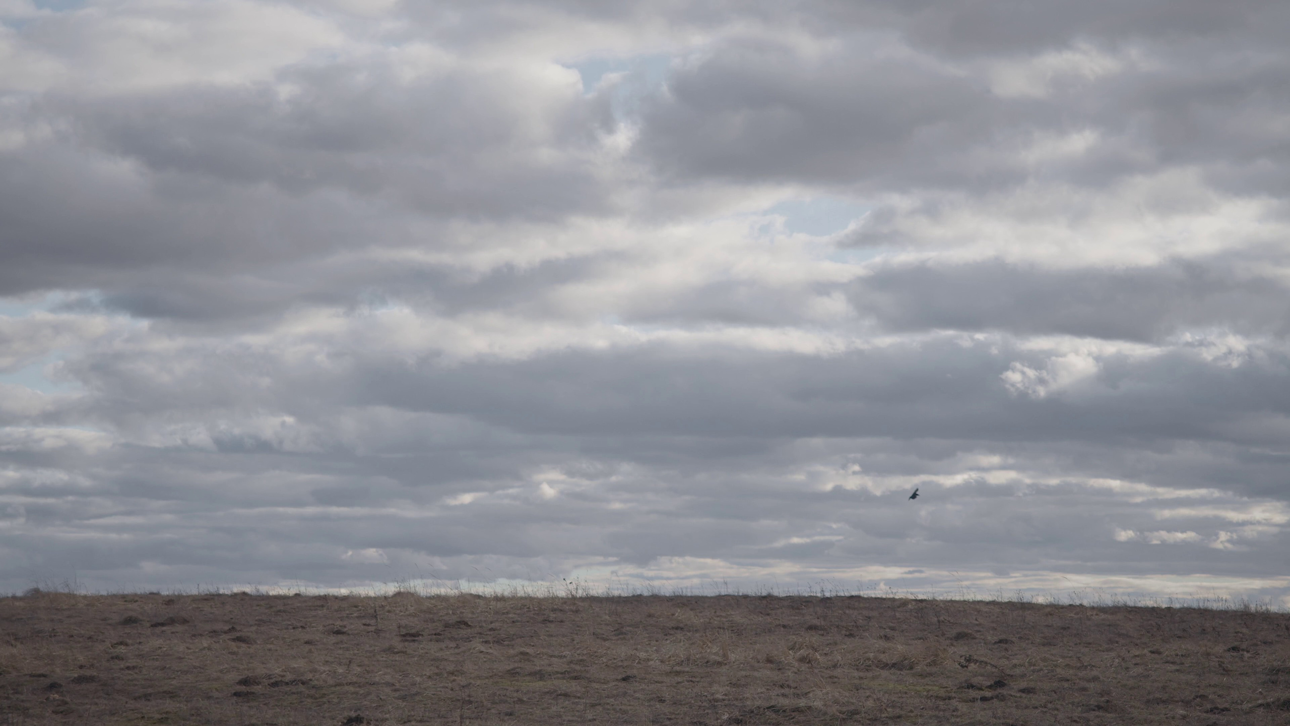 Творчество