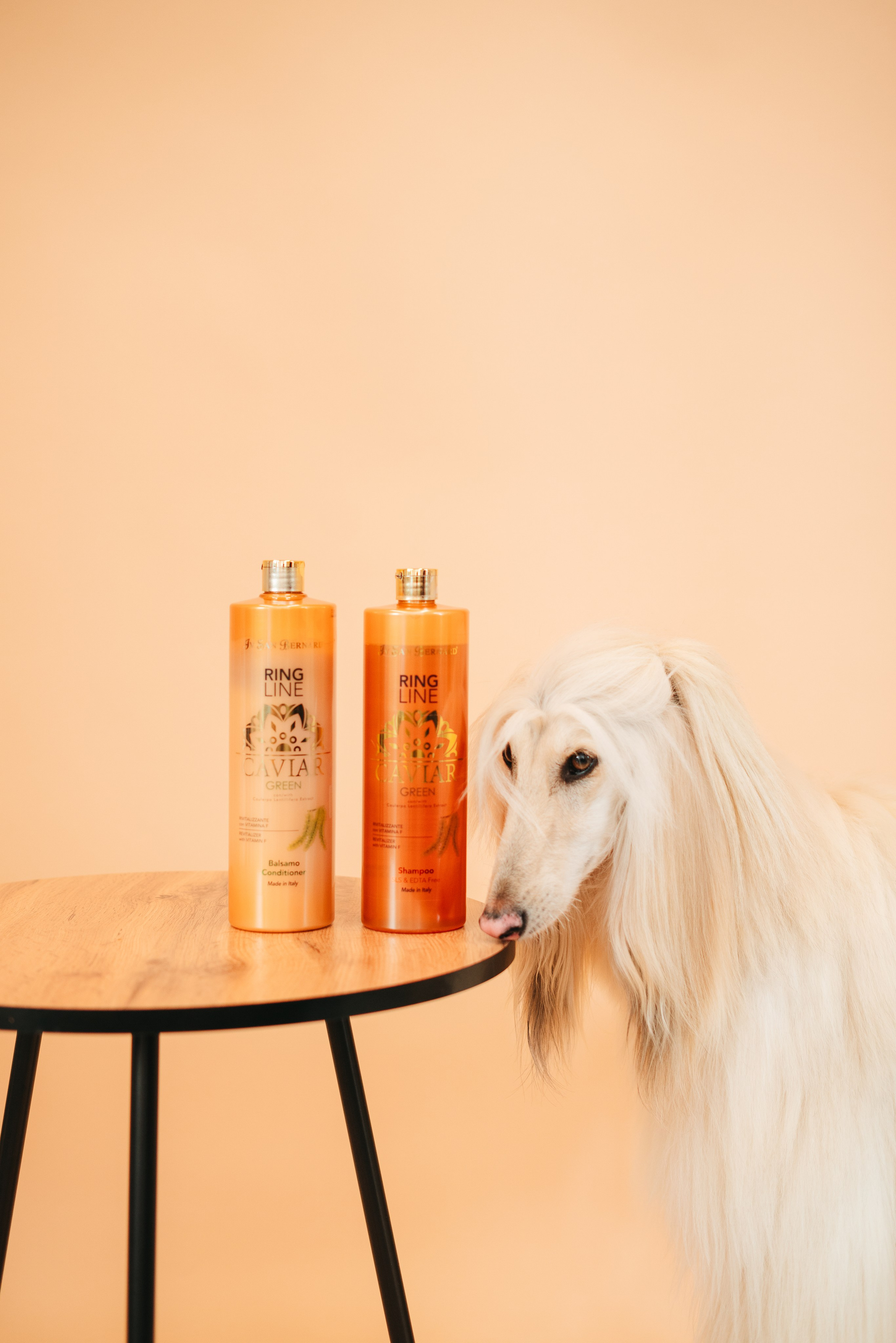 Груминг — салон. Фотограф анималист Осипчикова Мария