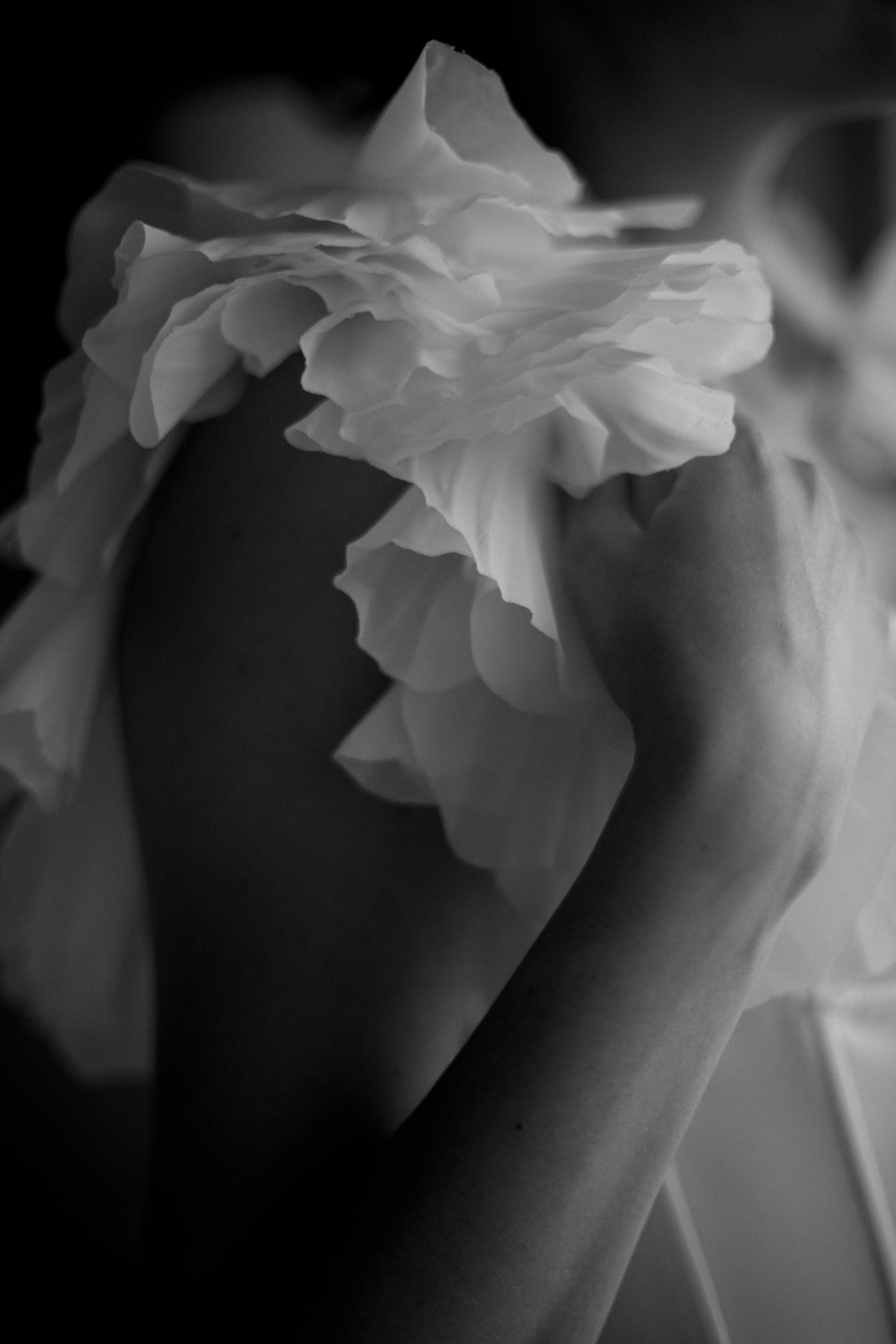 Екатерина и Гарик. Фотограф в Тюмени Екатерина Медведева