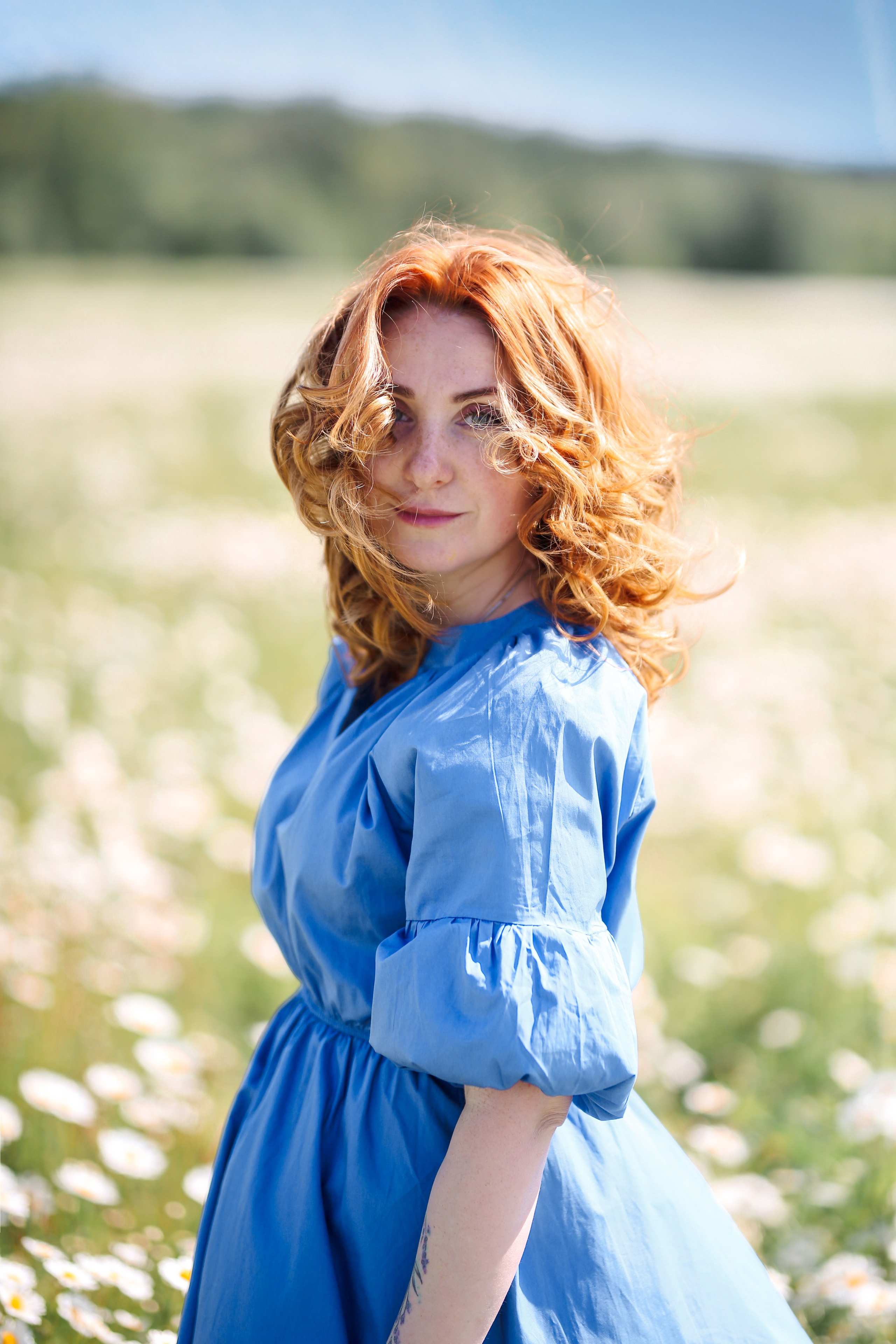 Ромашковое поле. Фотограф Анастасия Залевская