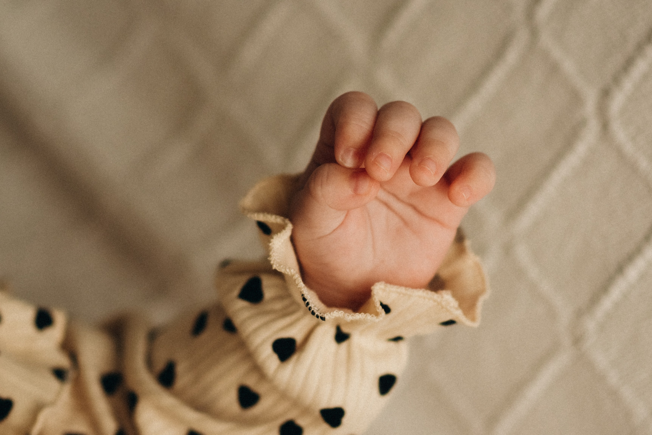 Саша, Оля и Анечка. Семейный фотограф в Клину и Москве Елена Храпунова