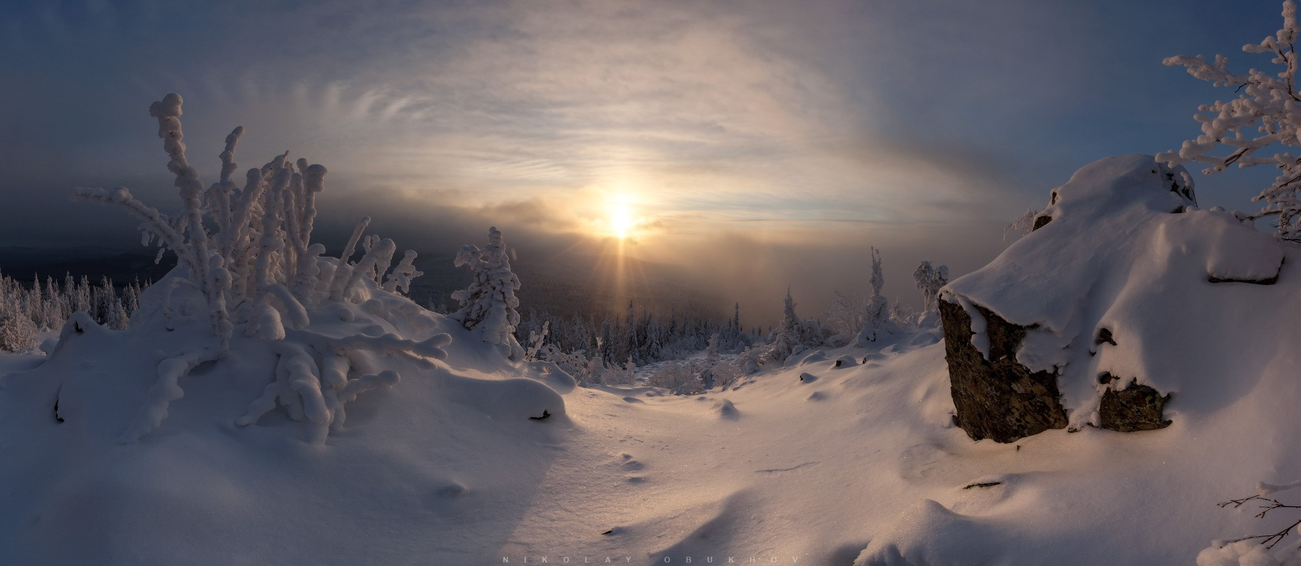 Деревья зимнего леса в снегу стоят величественно на фоне уральского неба.