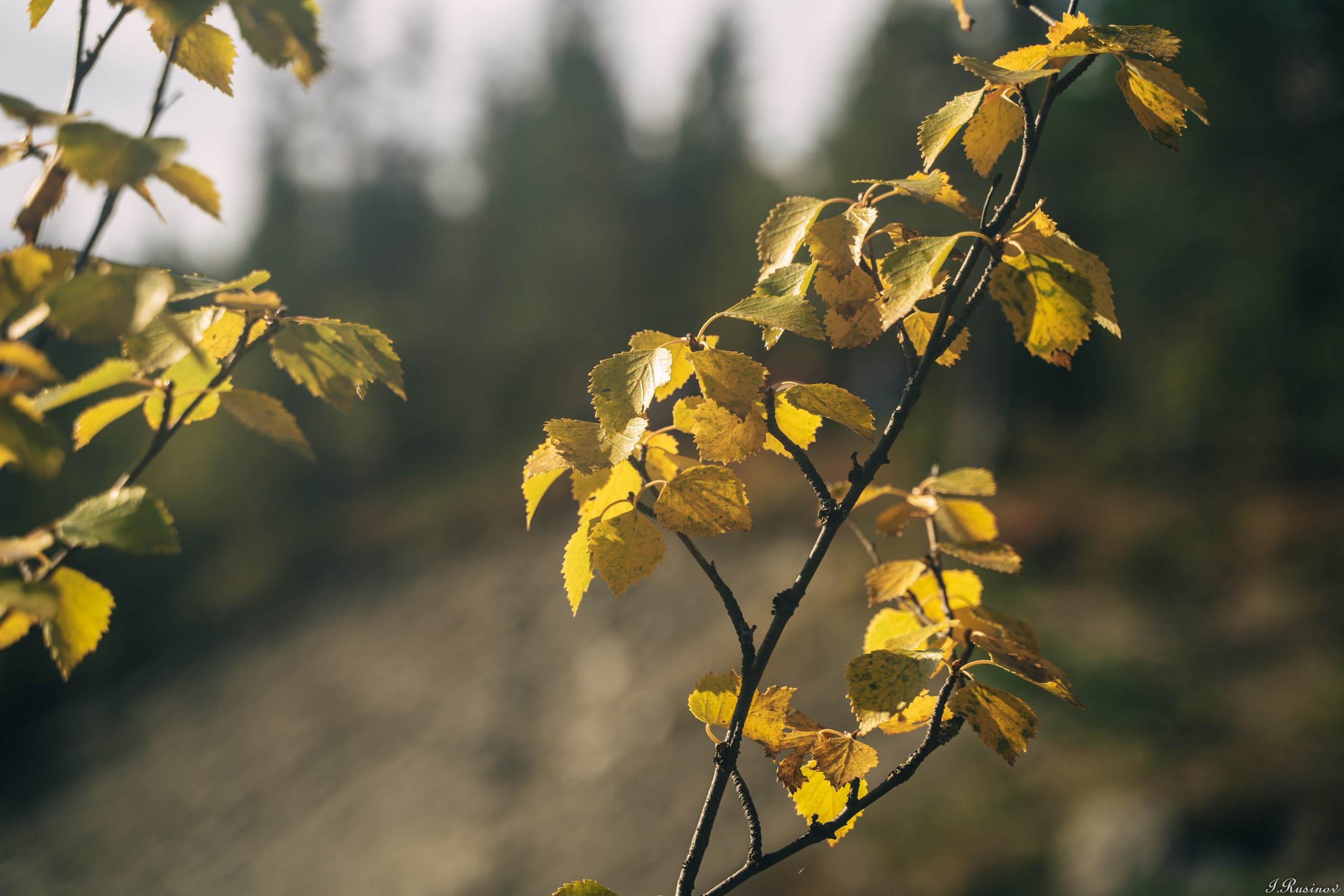 ХИБИНЫ 2021 г. Event фотограф Степанова Александра