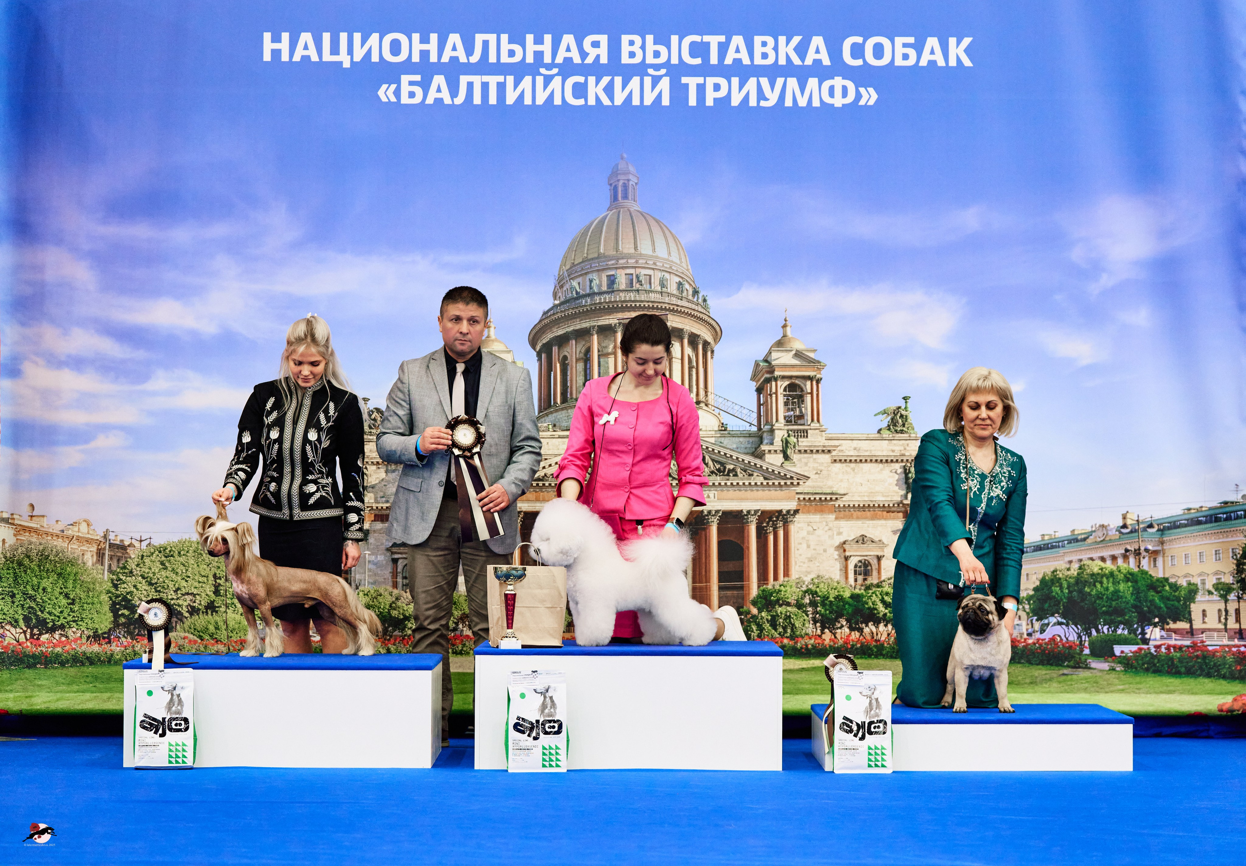22-23 FEB 2025 | NATIONAL DOG SHOW «BALTIC TRIUMPH-2025»