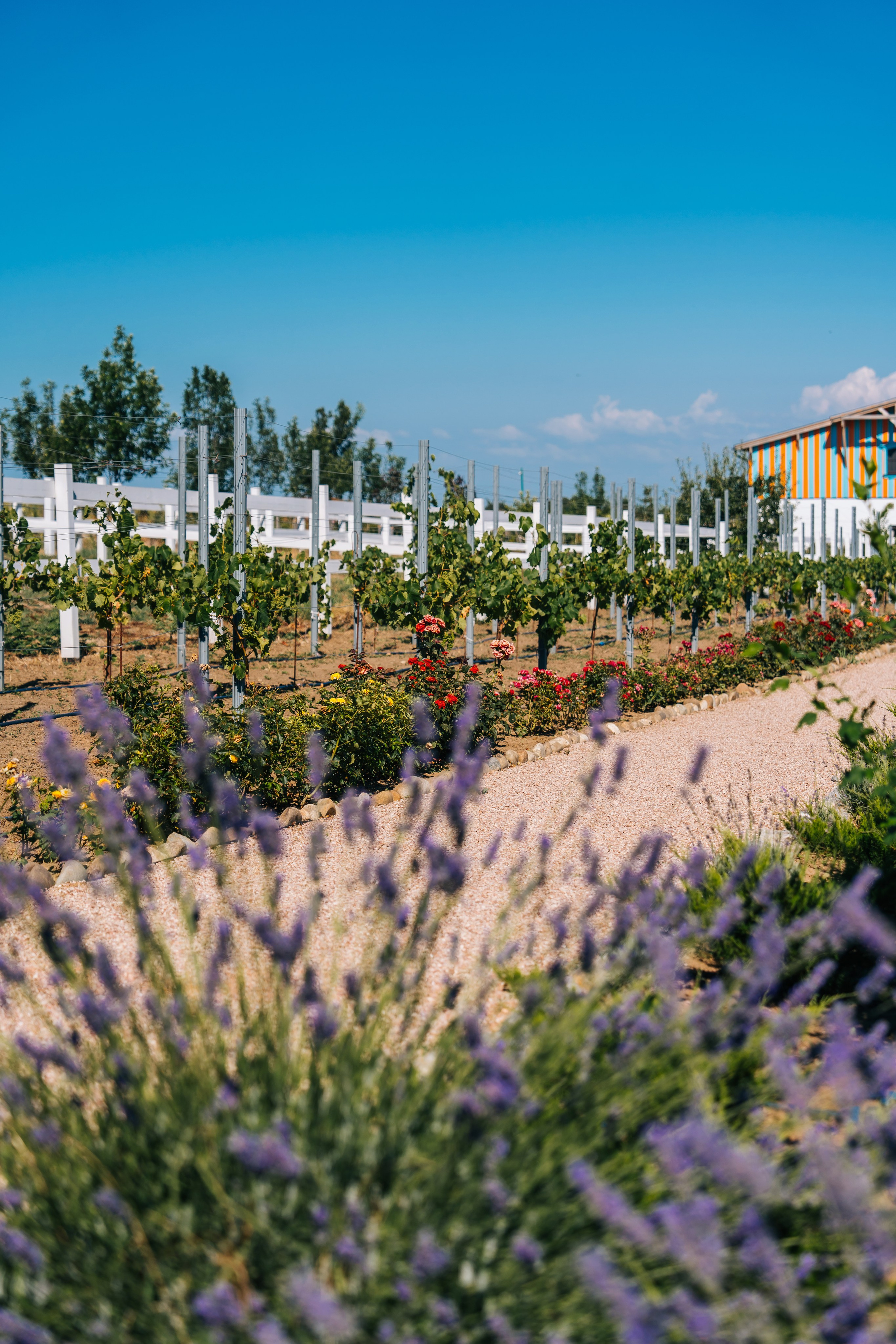 Вилла Романов. Отельный интерьерный фотограф Сочи